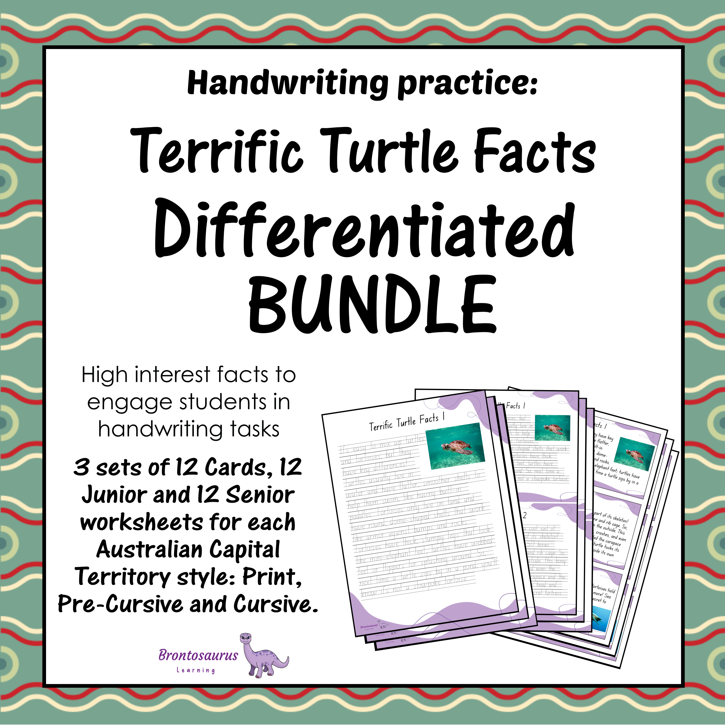 TURTLEs Differentiated Bundle cover image
