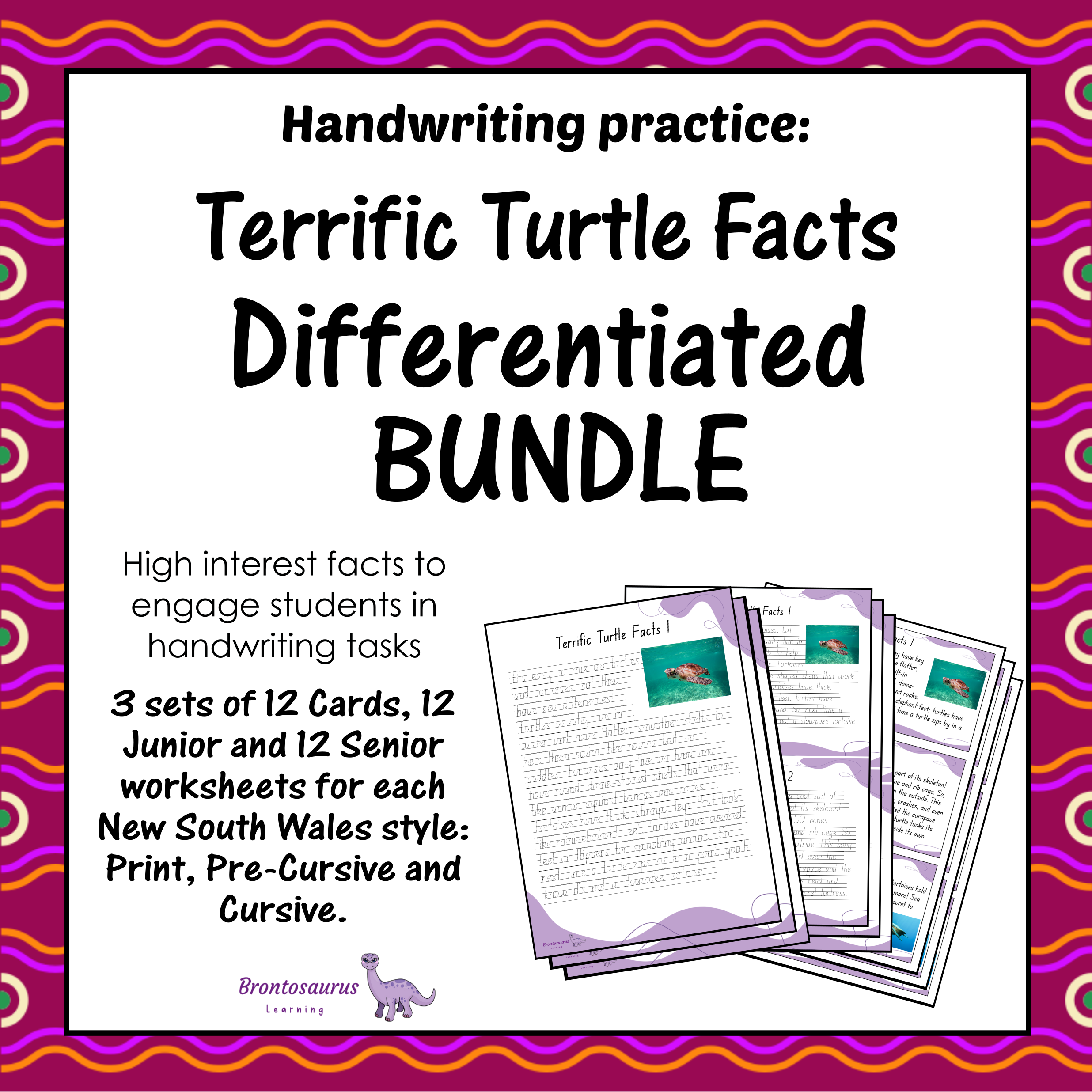 TURTLEs Differentiated Bundle cover image
