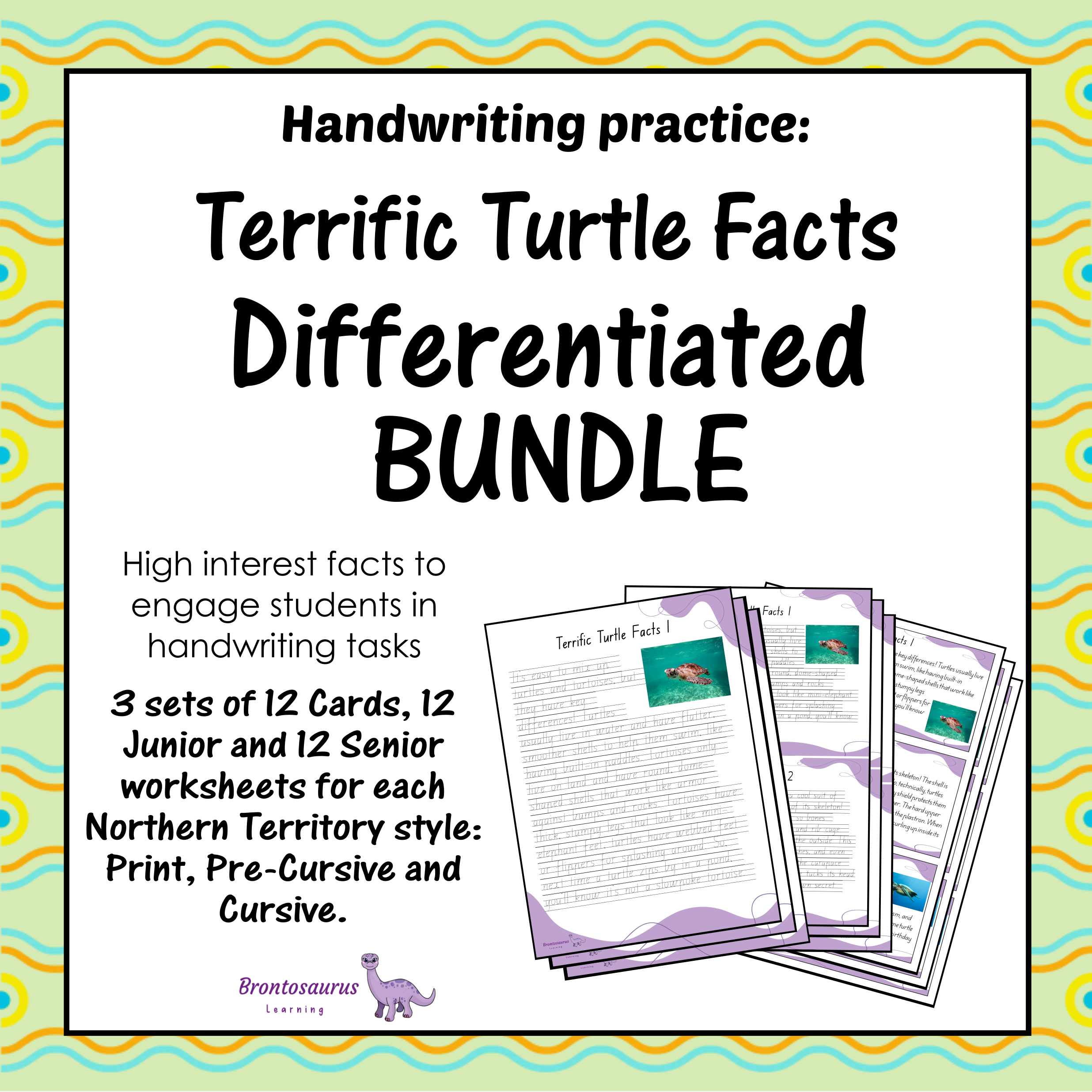 TURTLEs Differentiated Bundle cover image