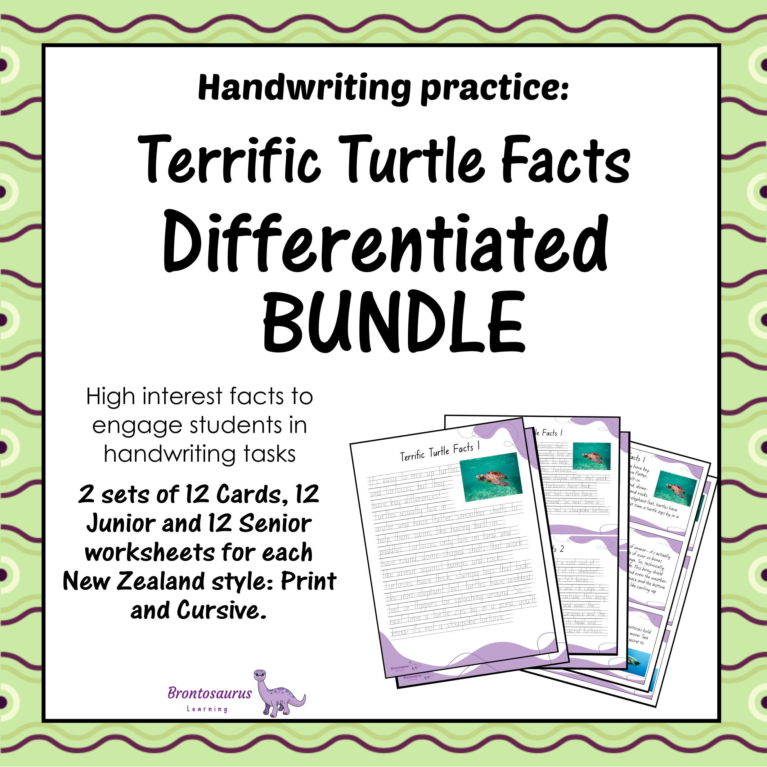TURTLEs Differentiated Bundle cover image
