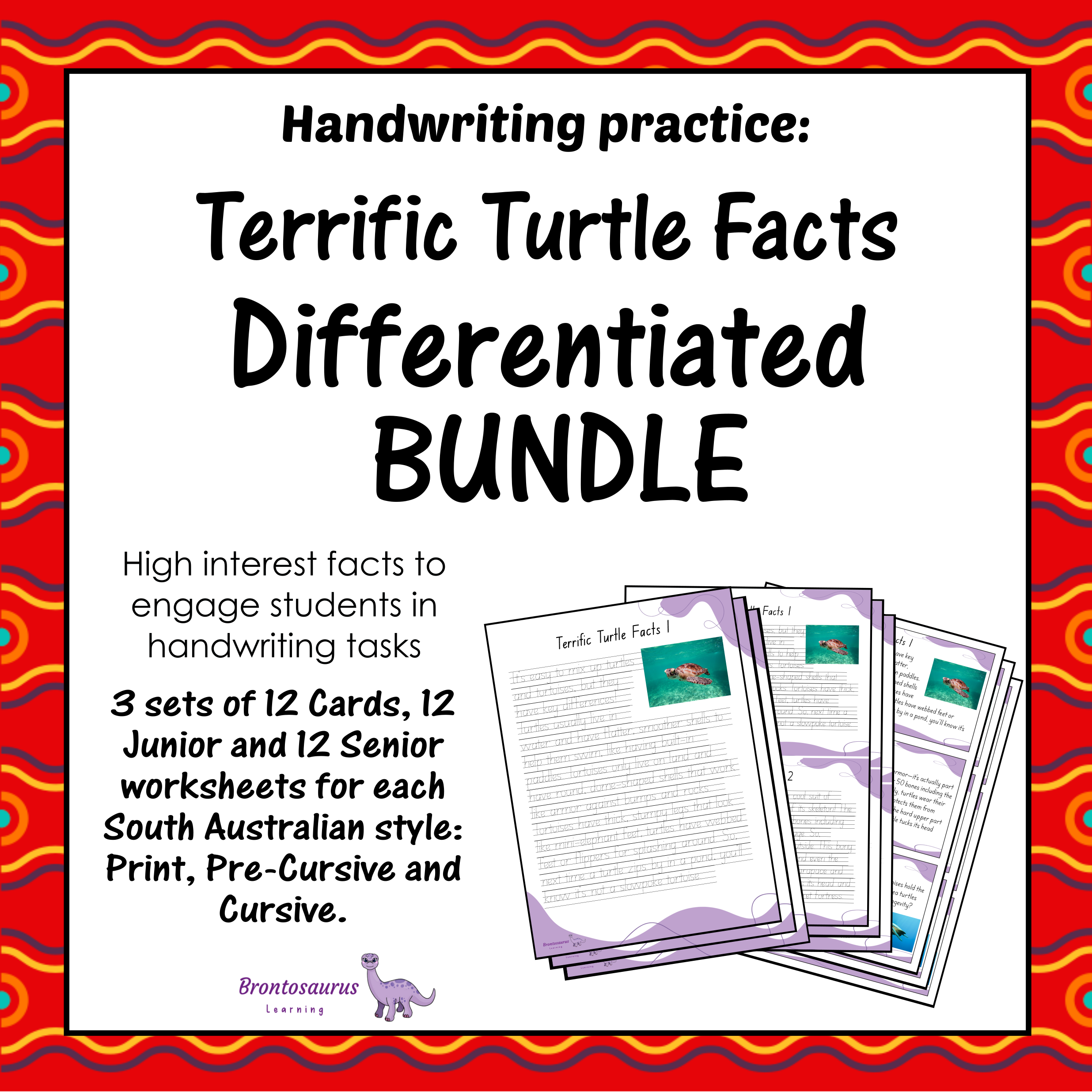 TURTLEs Differentiated Bundle cover image