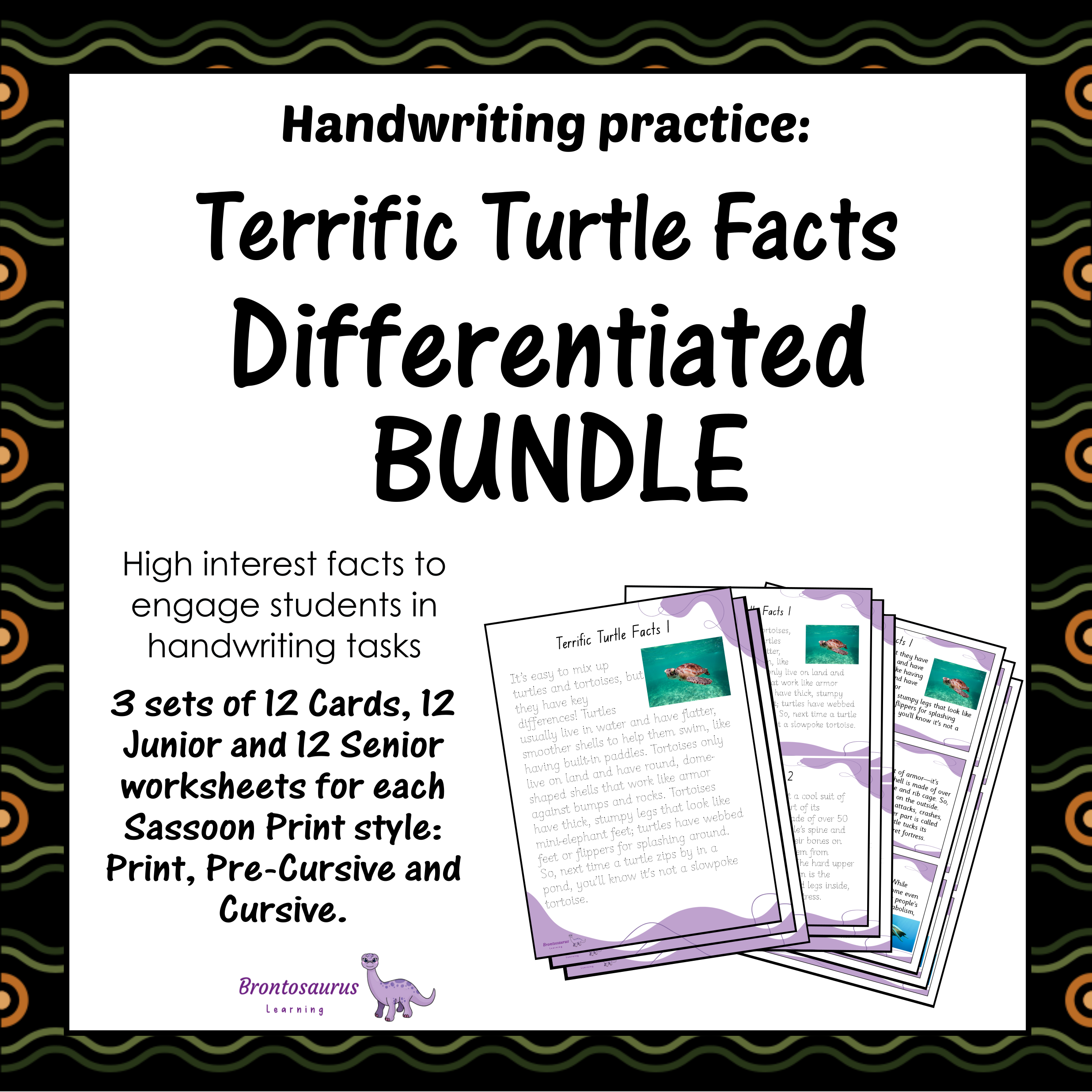 TURTLEs Differentiated Bundle cover image