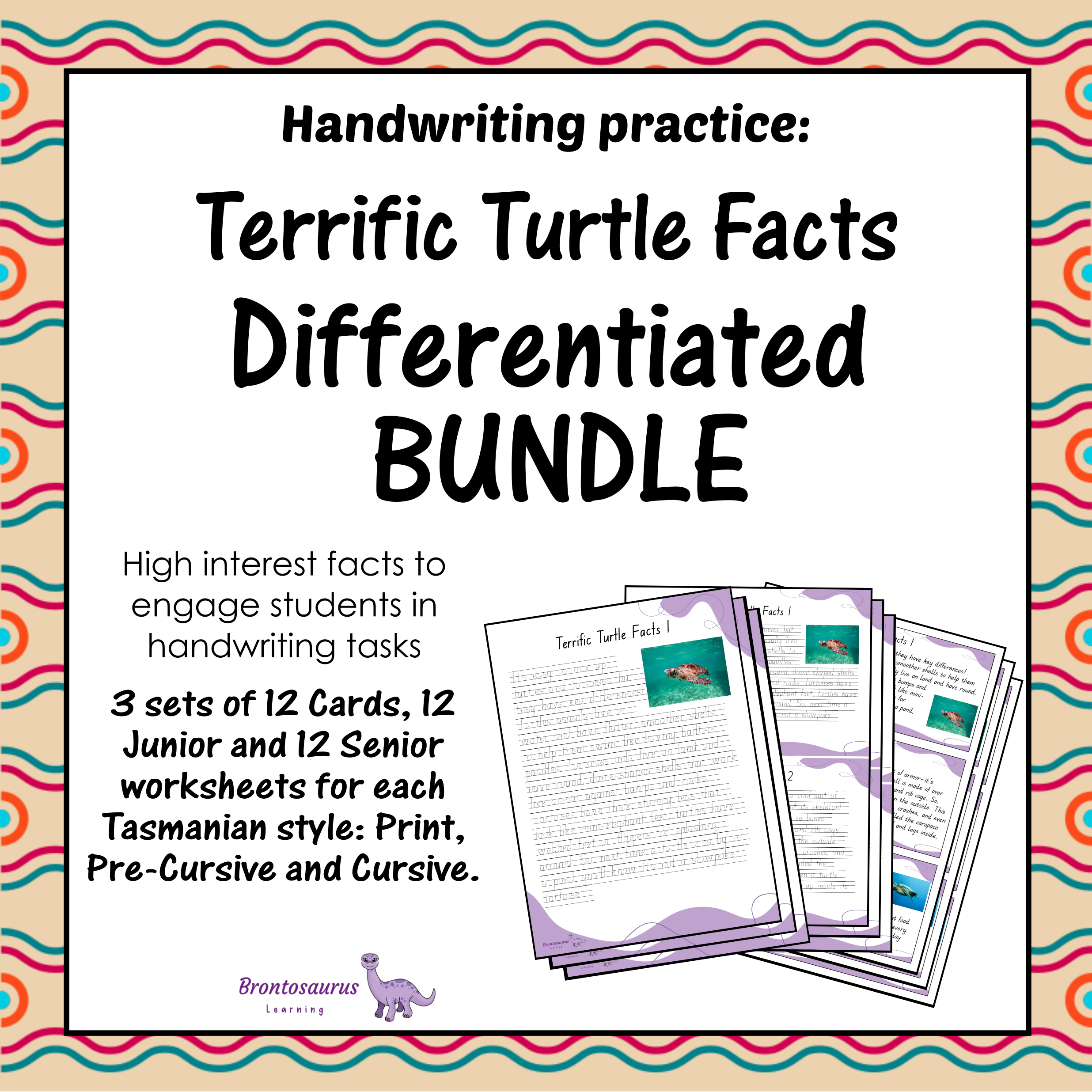 TURTLEs Differentiated Bundle cover image