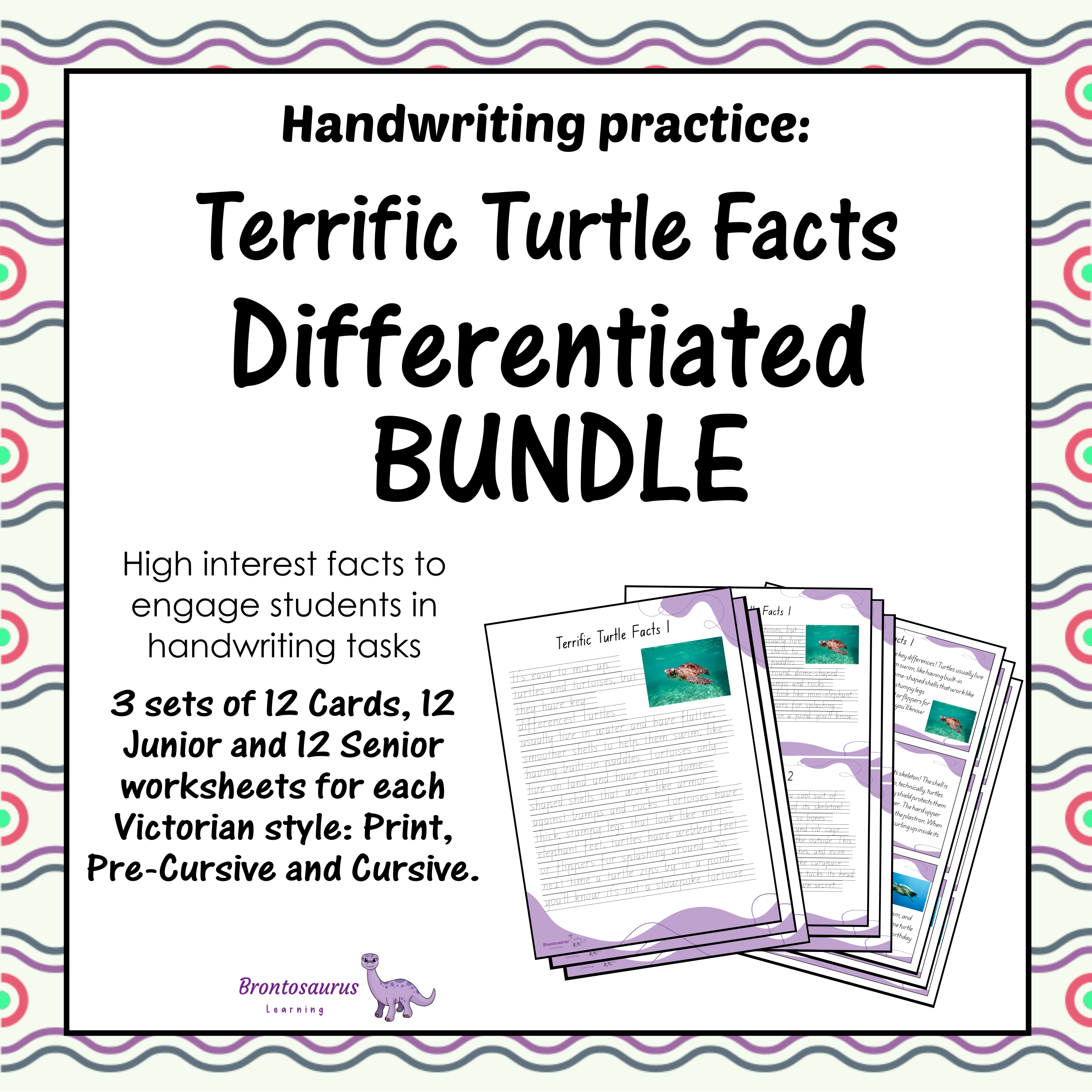 TURTLEs Differentiated Bundle cover image