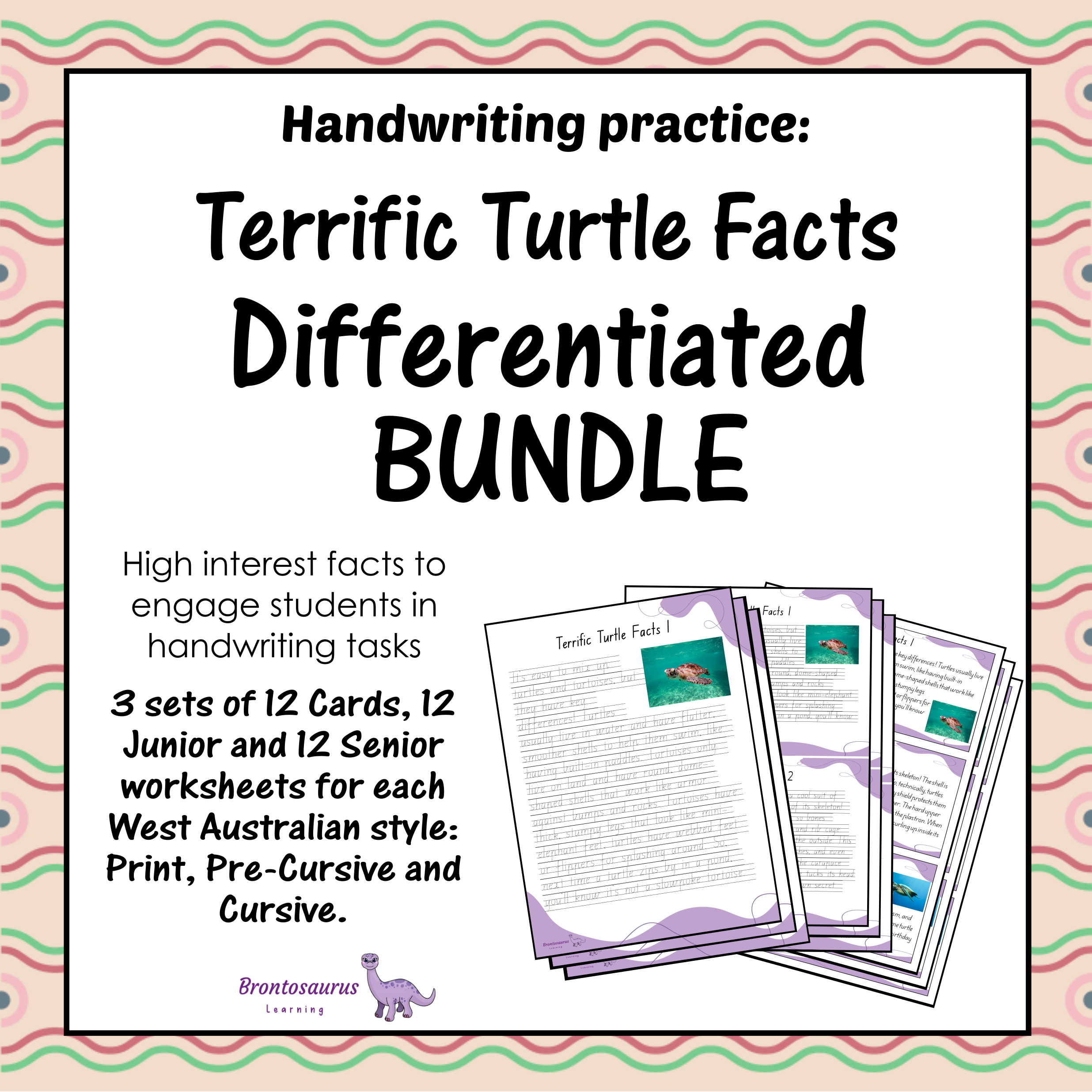 TURTLEs Differentiated Bundle cover image