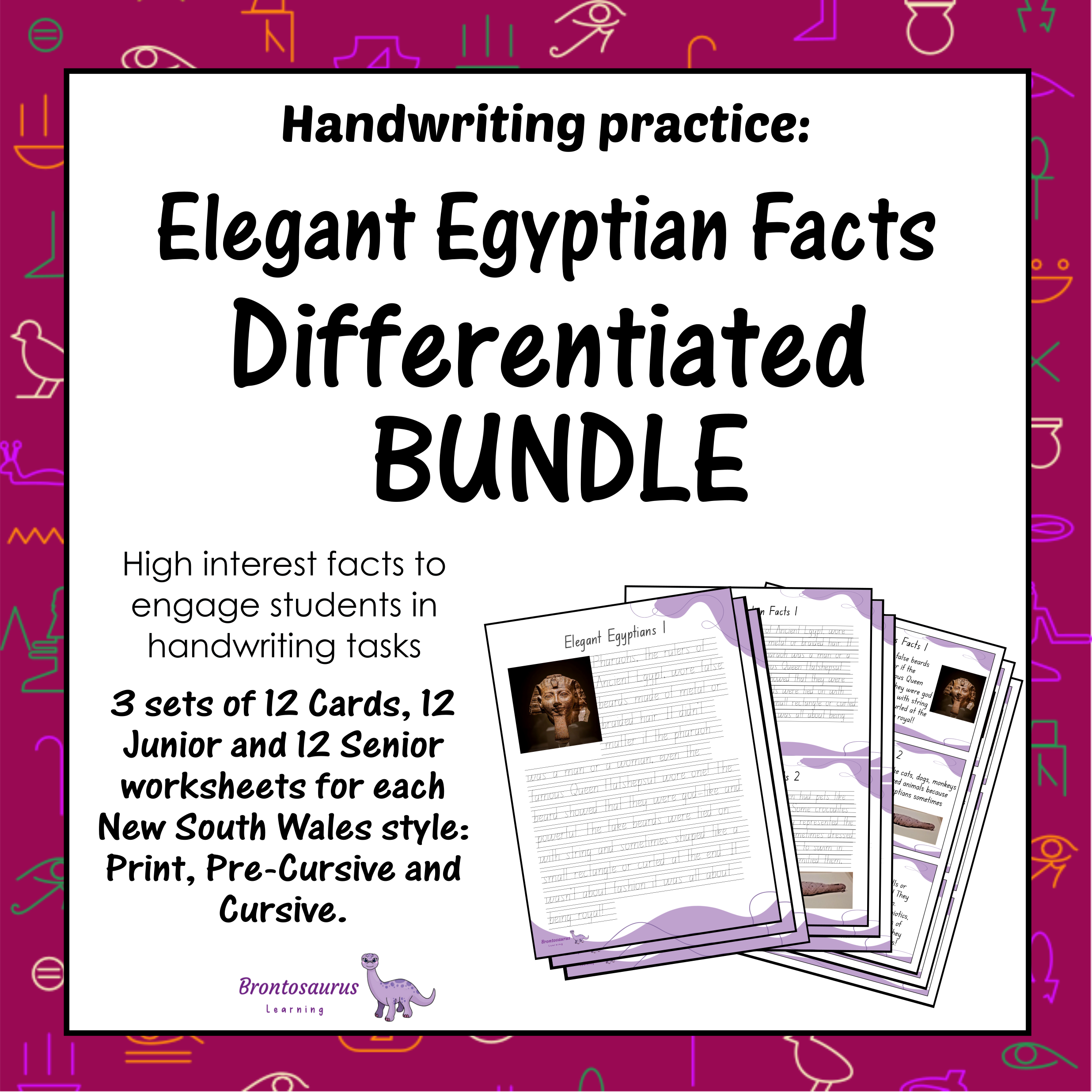 EGYPT Differentiated Bundle cover image