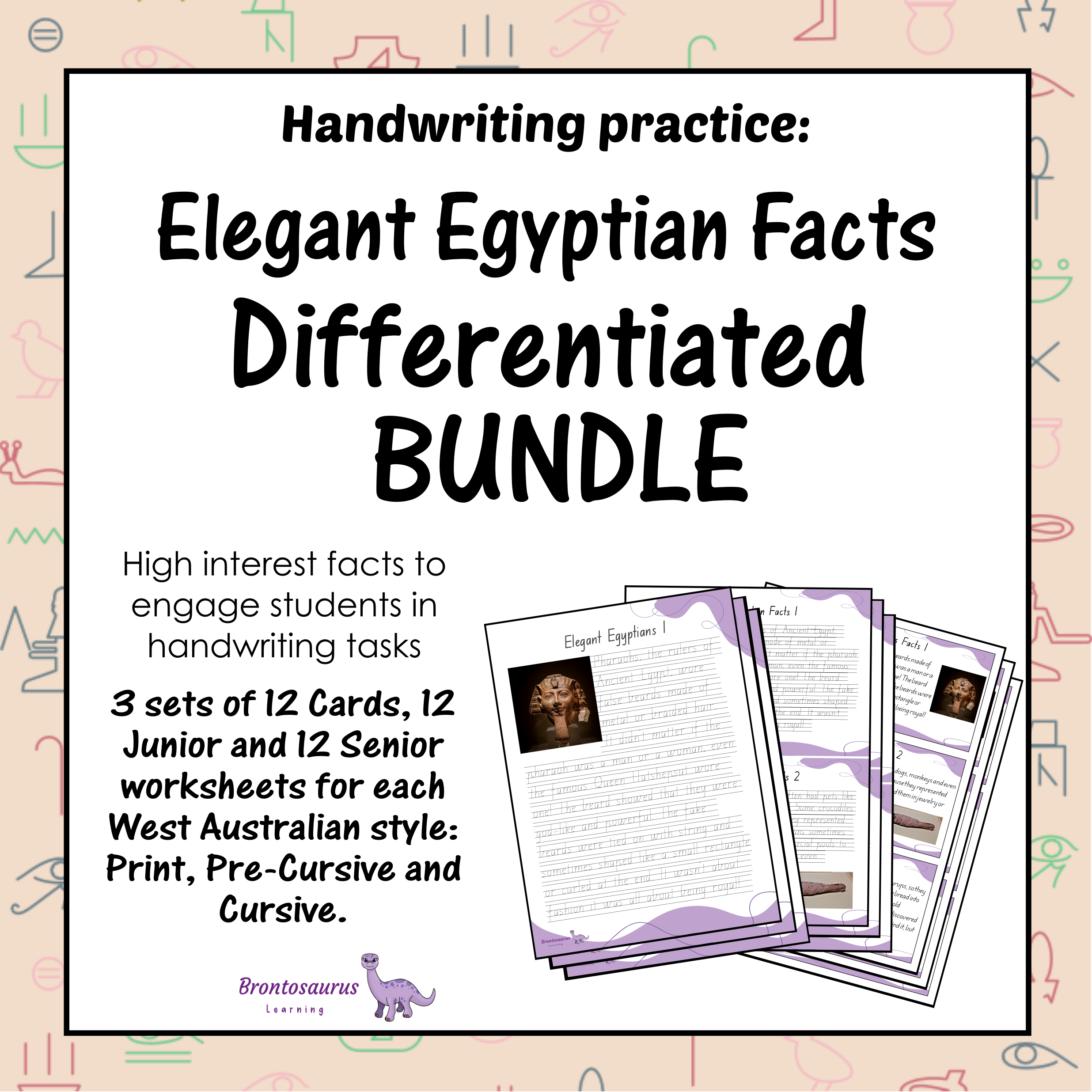 EGYPT Differentiated Bundle cover image