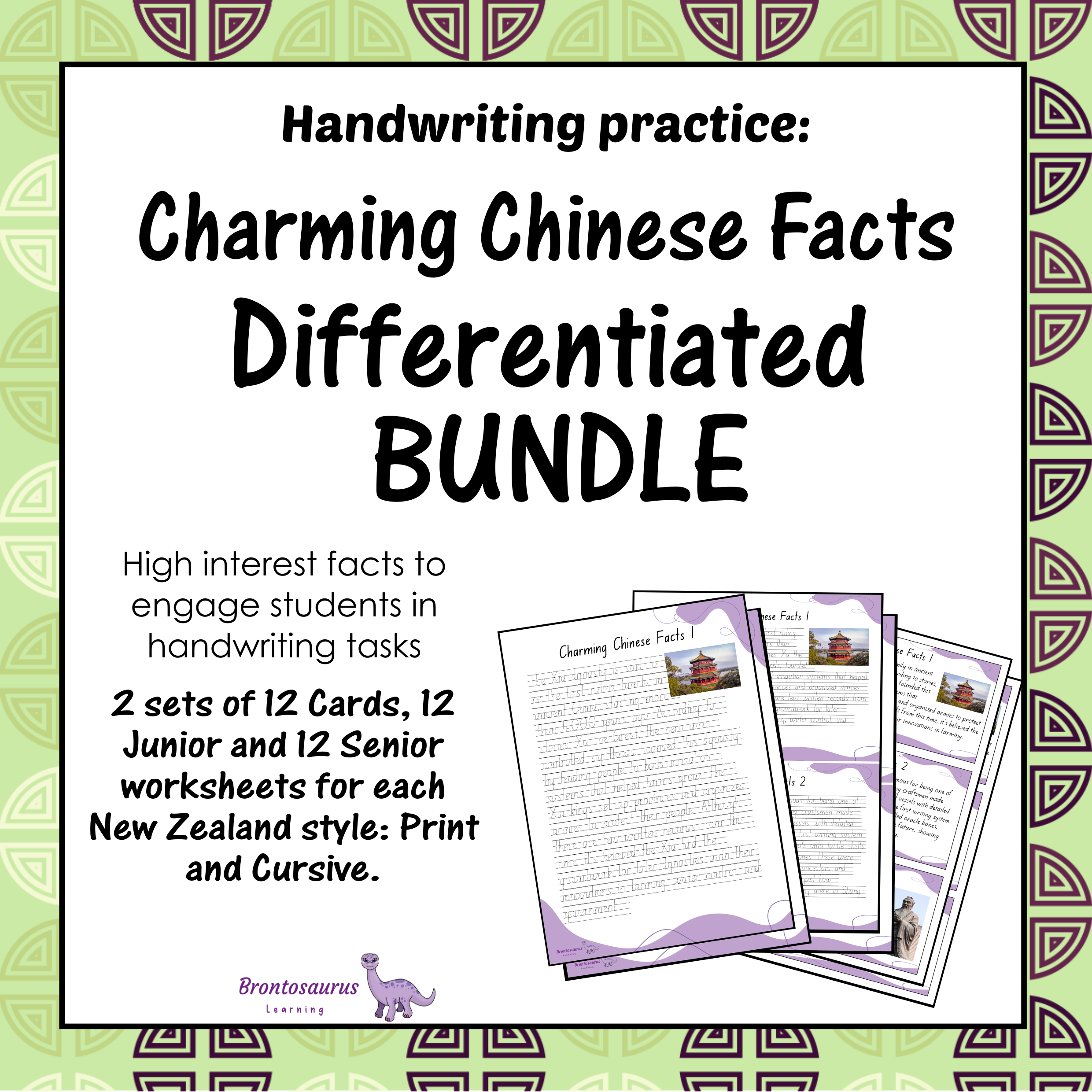 CHINESE Differentiated Bundle cover image