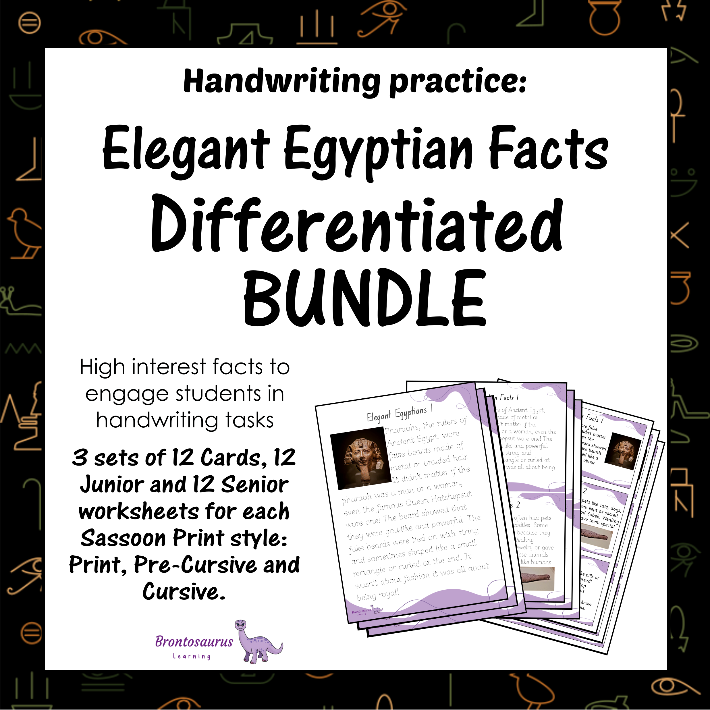 EGYPT Differentiated Bundle cover image