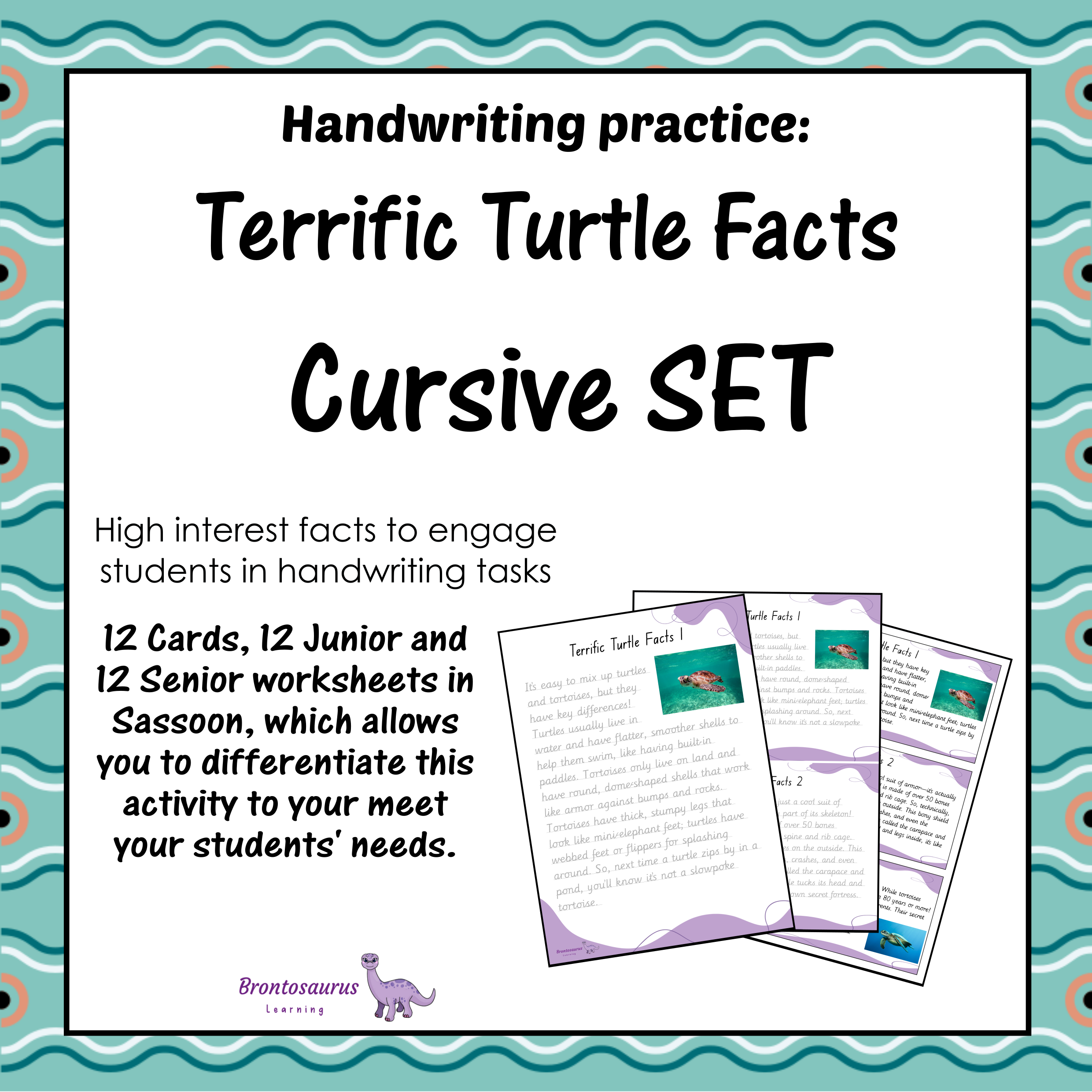TURTLEs Cursive Set cover image