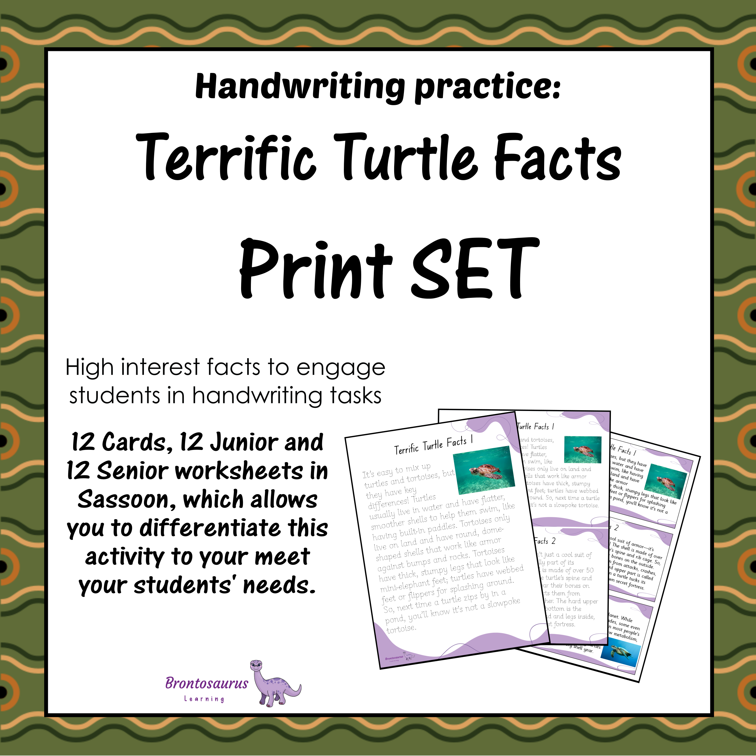 TURTLEs Print Set cover image