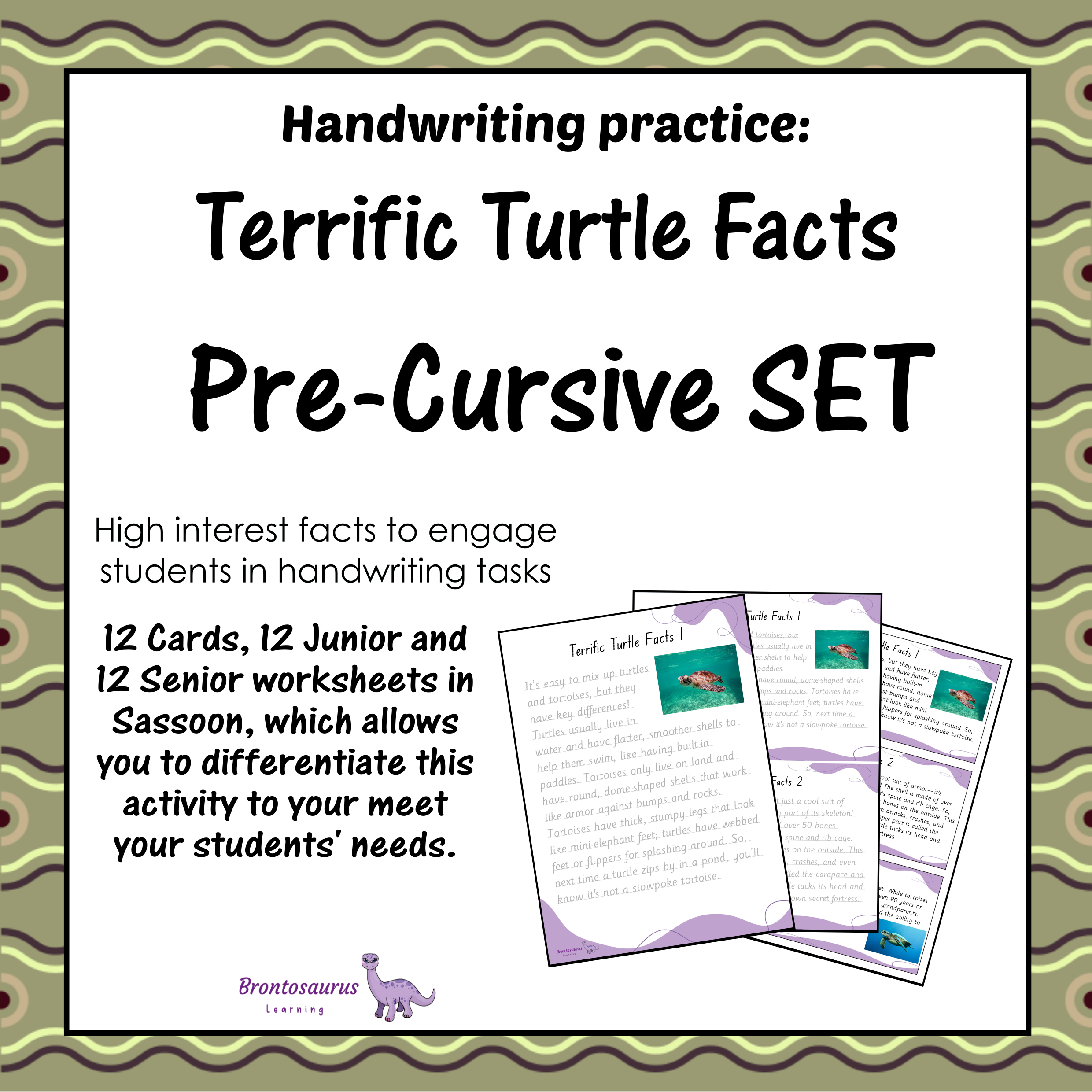 TURTLEs Pre-cursive Set cover image