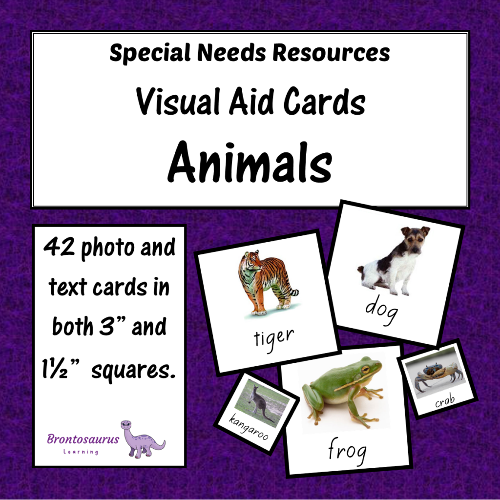 Visual Supports 7