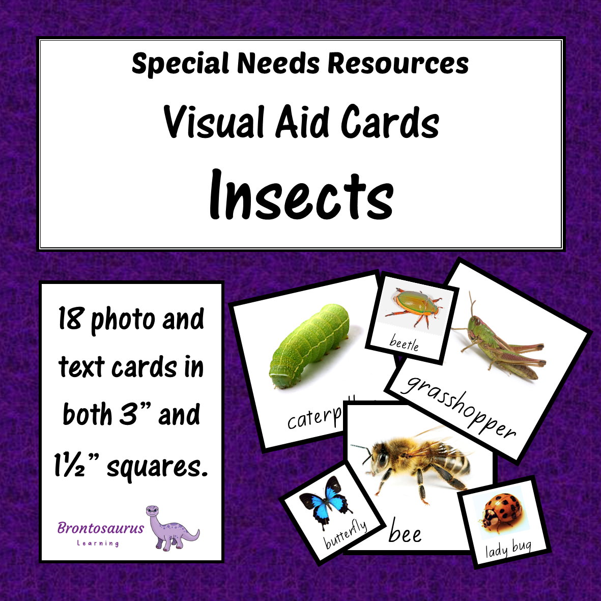 Cover preview for Visual Aid Cards Household Items, a printable weather science resource.