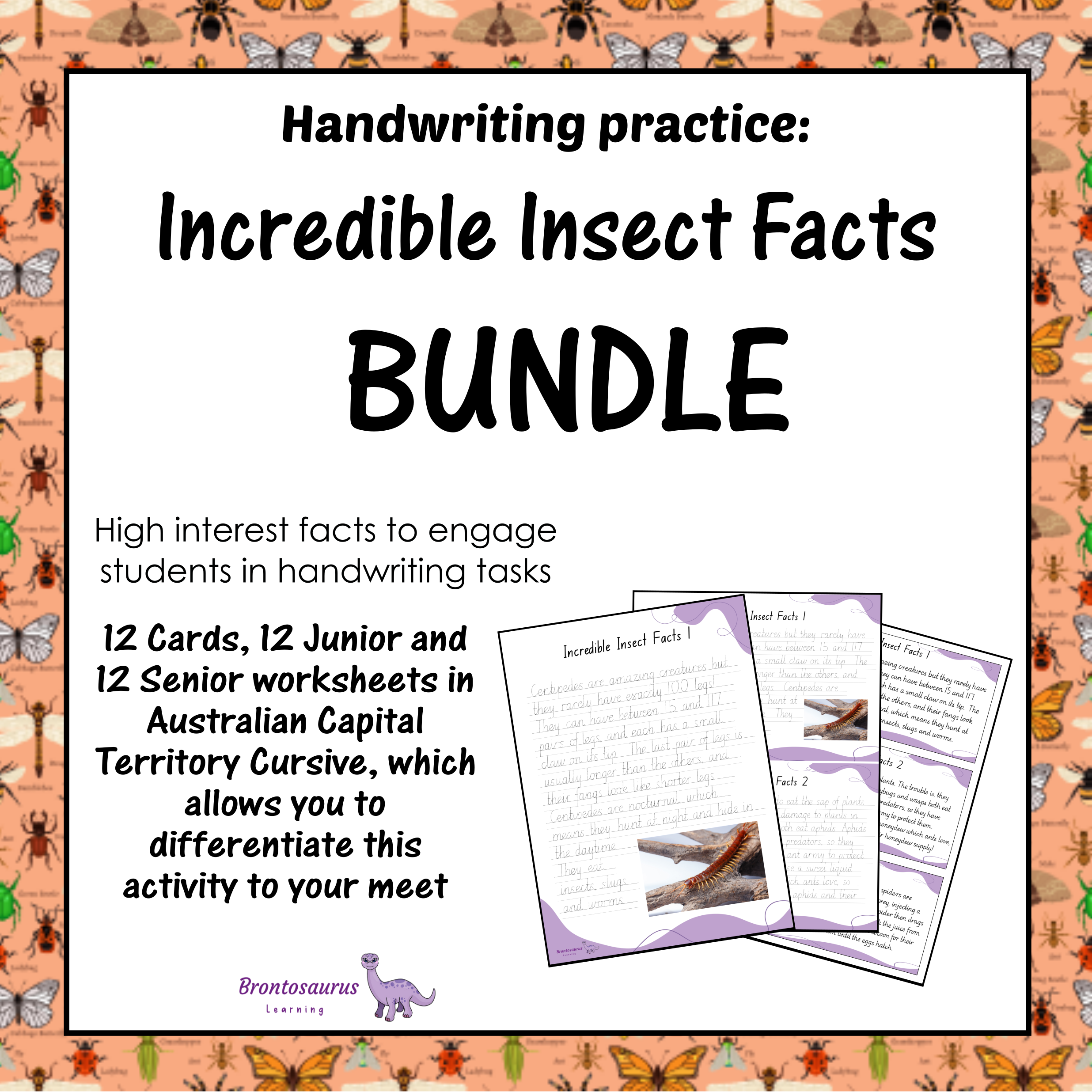 INSECTS1 Cursive Set cover image