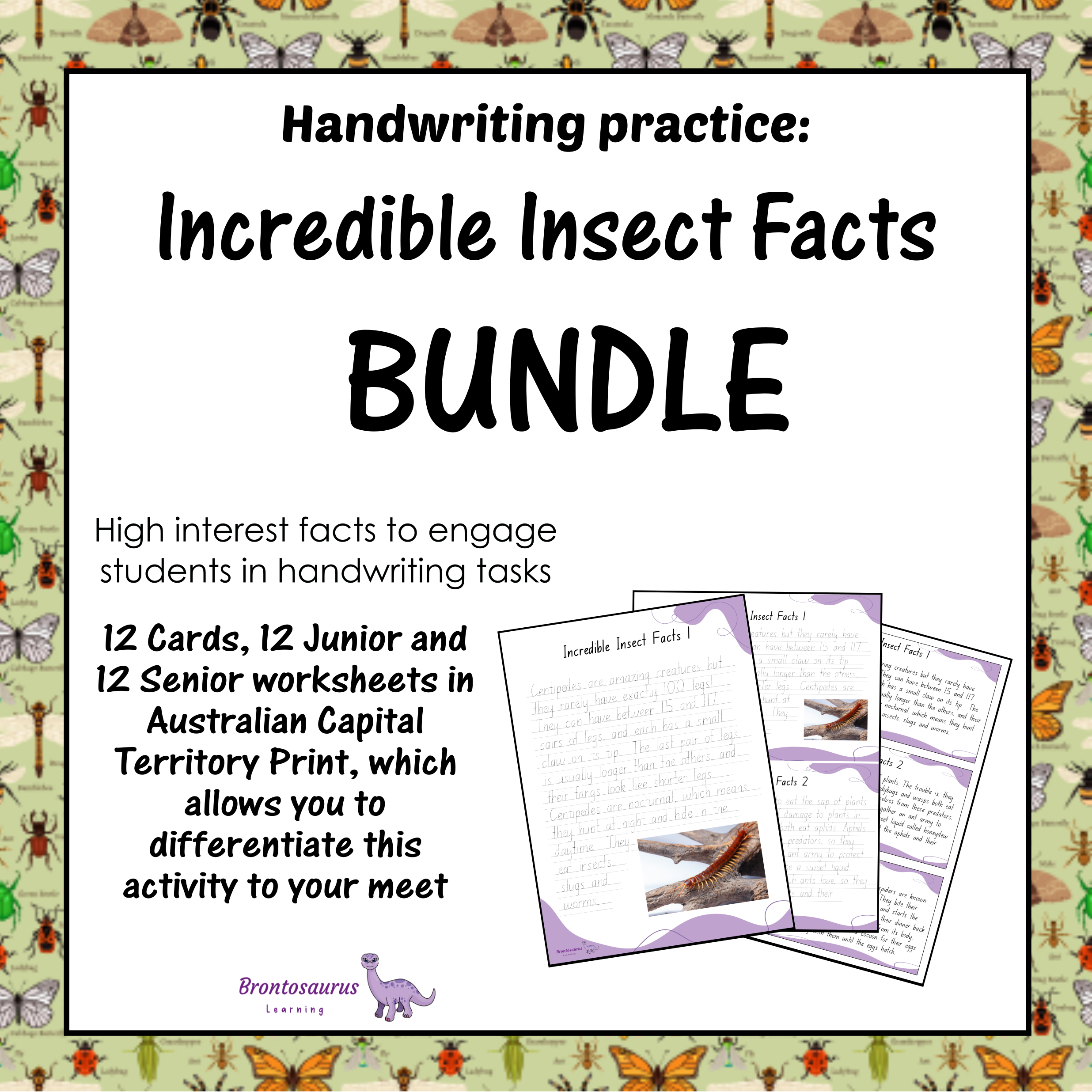 INSECTS1 Print Set cover image
