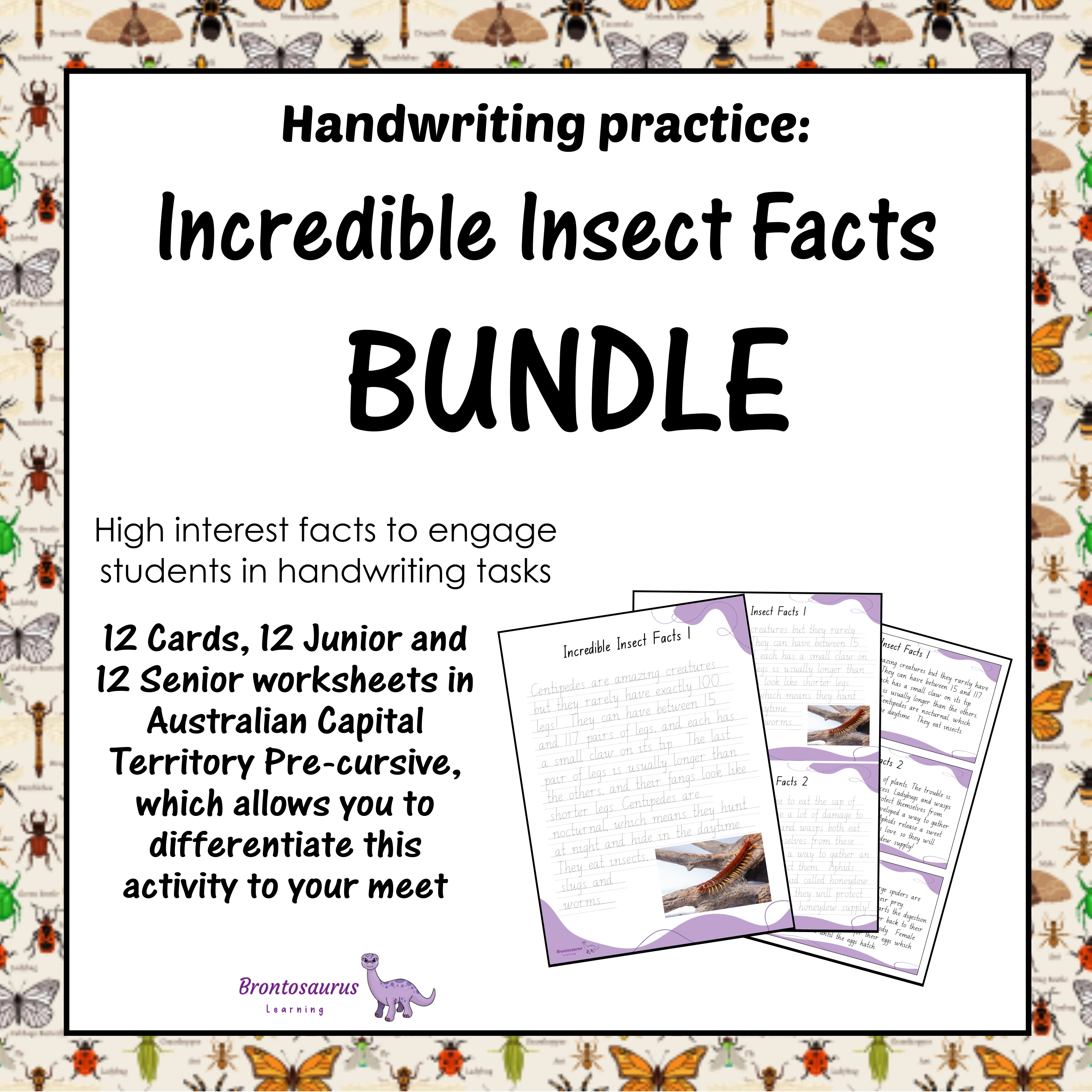 INSECTS1 Pre-cursive Set cover image