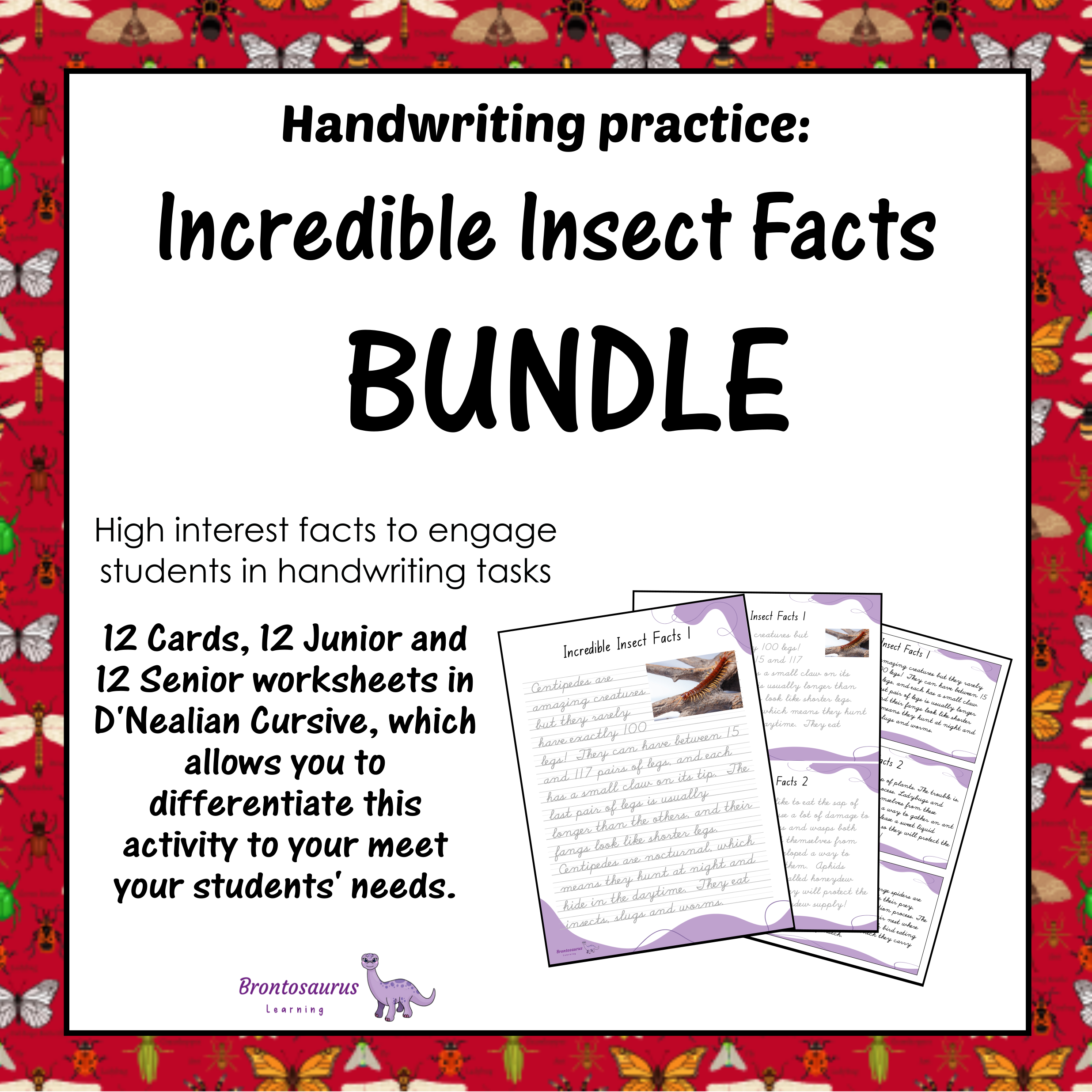 INSECTS1 Cursive Set cover image