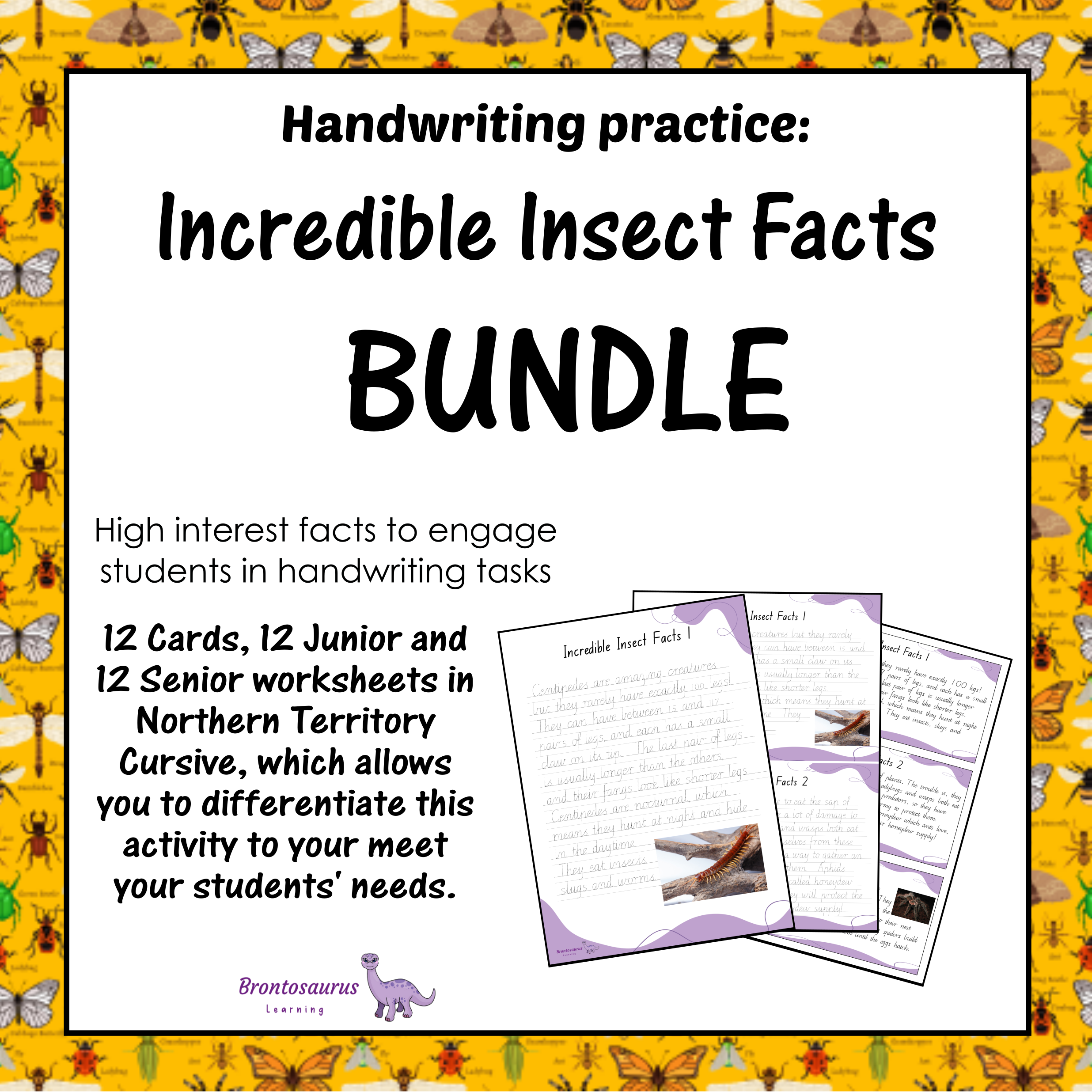 INSECTS1 Cursive Set cover image
