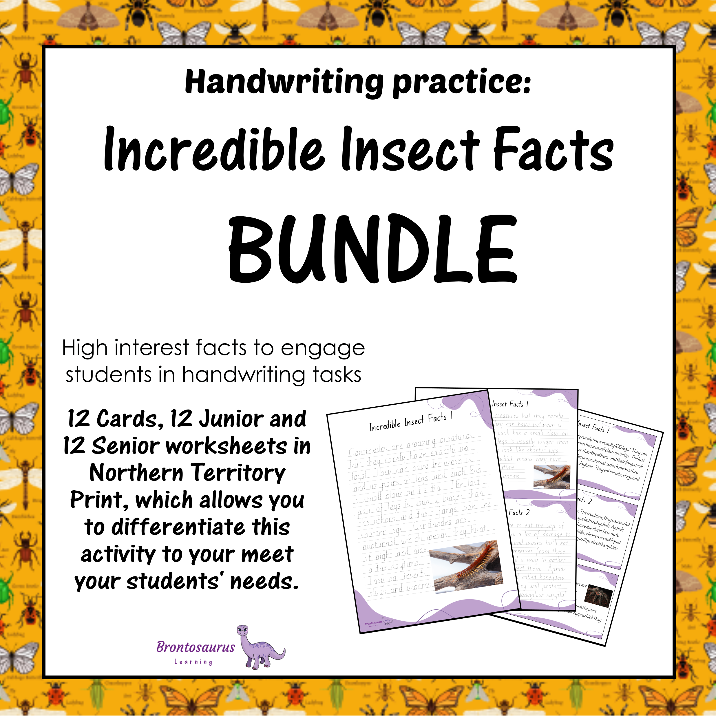 INSECTS1 Print Set cover image