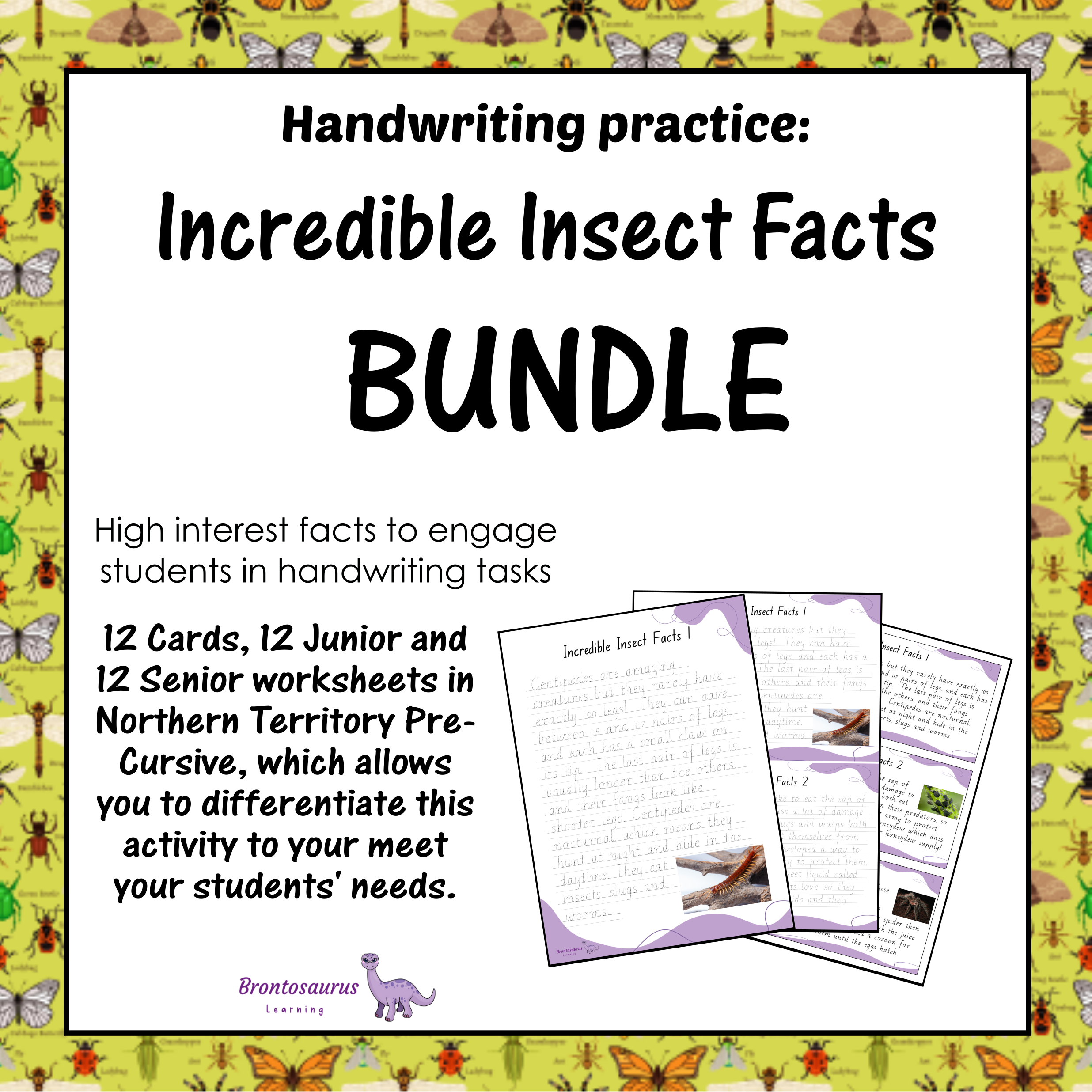 INSECTS1 Pre-cursive Set cover image