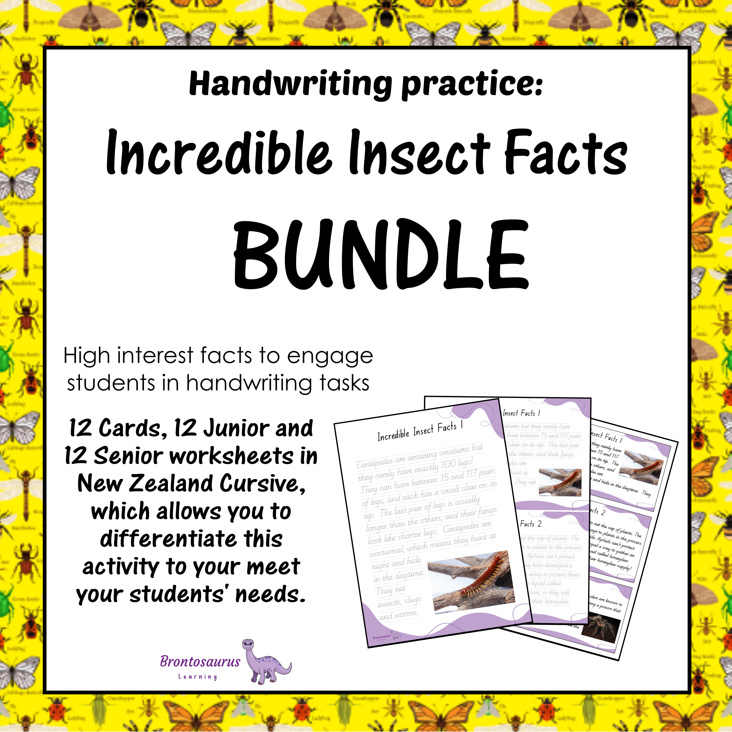 INSECTS1 Cursive Set cover image