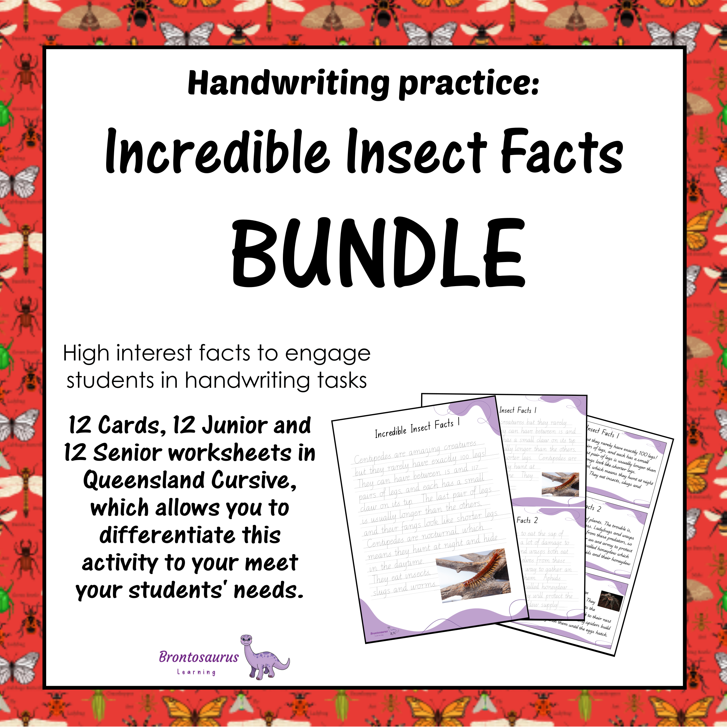 Queensland Animals 14 INSECTS1 Cursive Set cover image