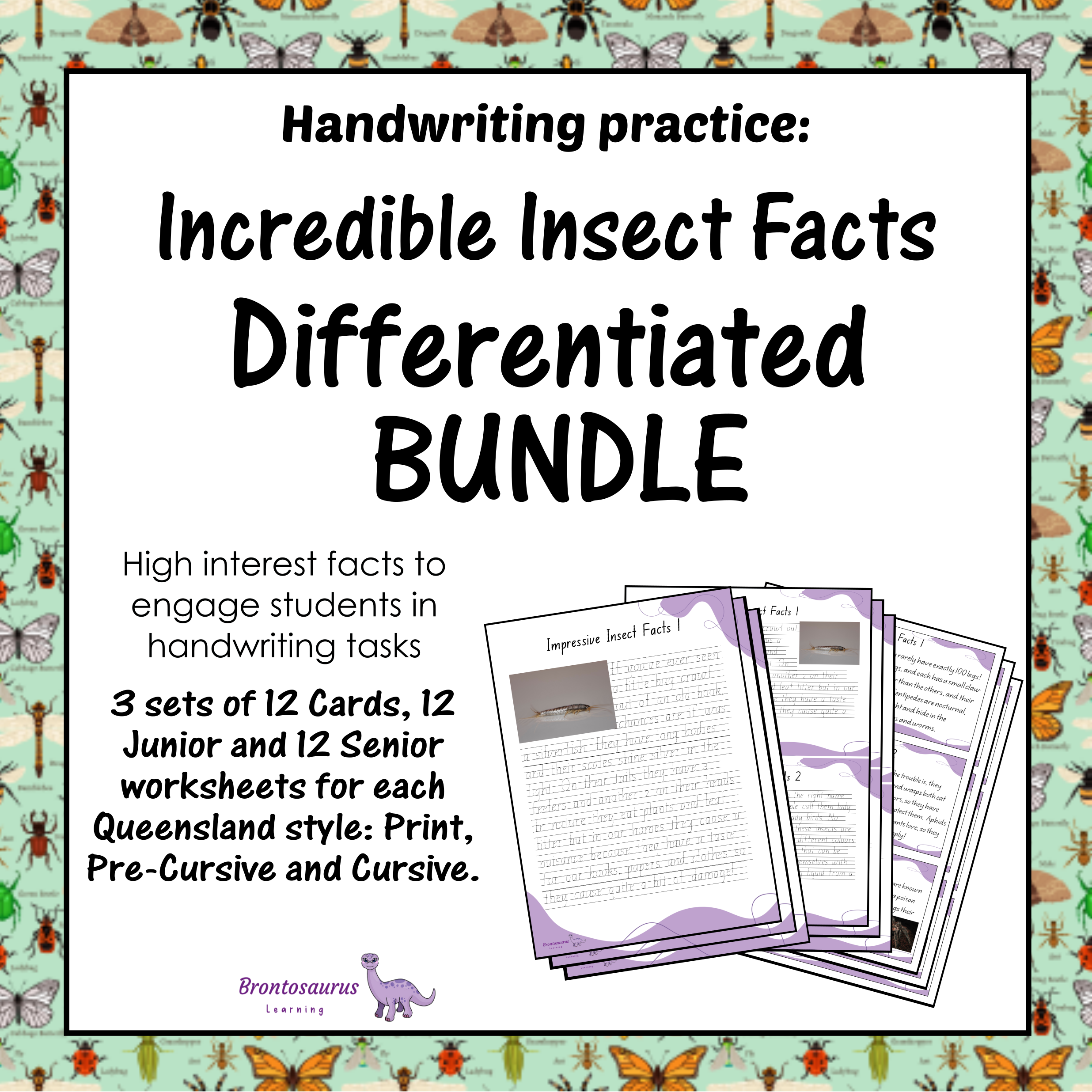 Queensland Animals 11 INSECTS1 Differentiated Bundle cover image