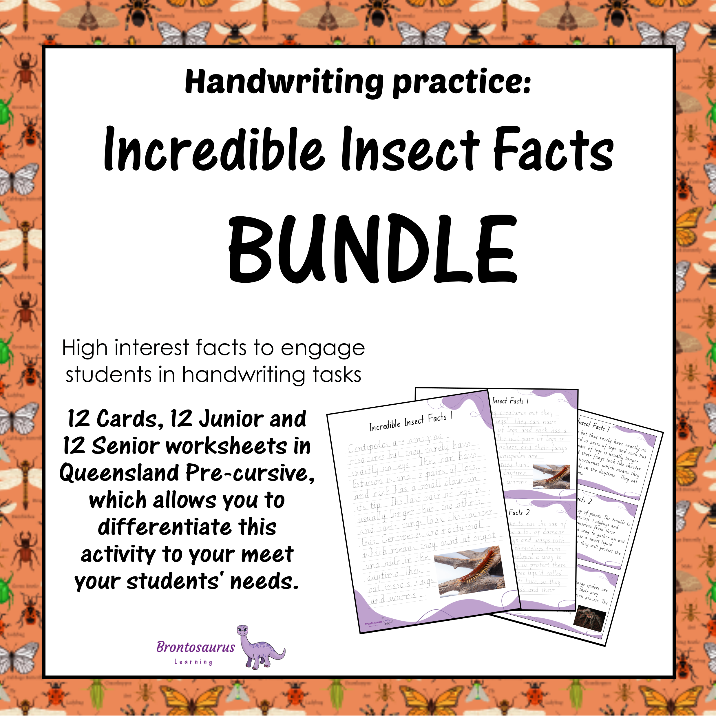 Queensland Animals 13 INSECTS1 Pre-cursive Set cover image