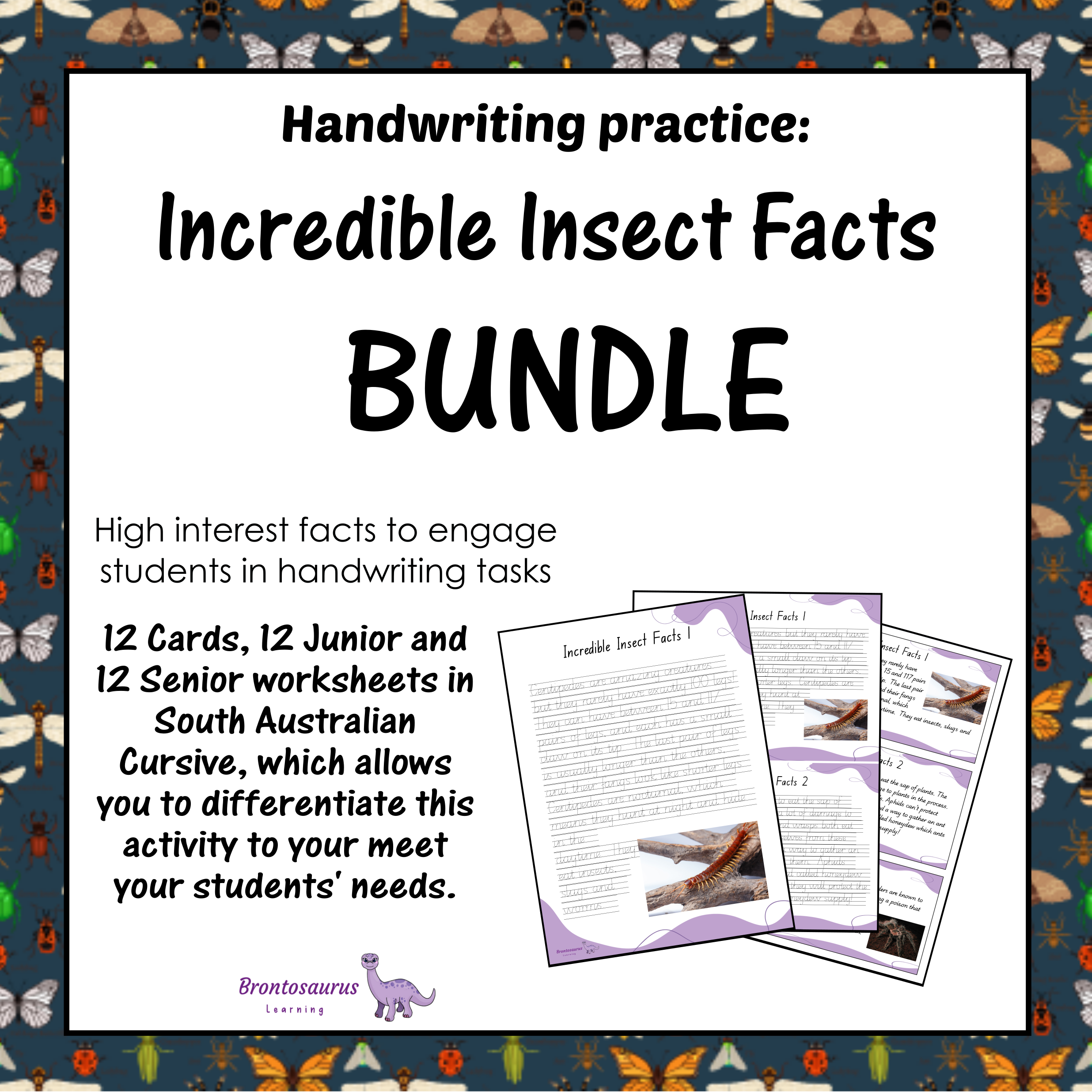 INSECTS1 Cursive Set cover image