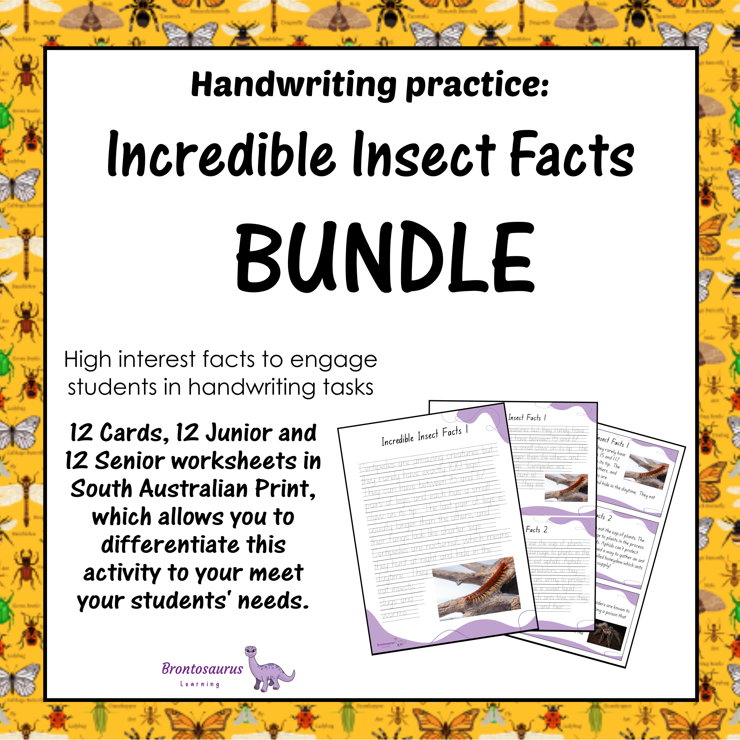INSECTS1 Print Set cover image