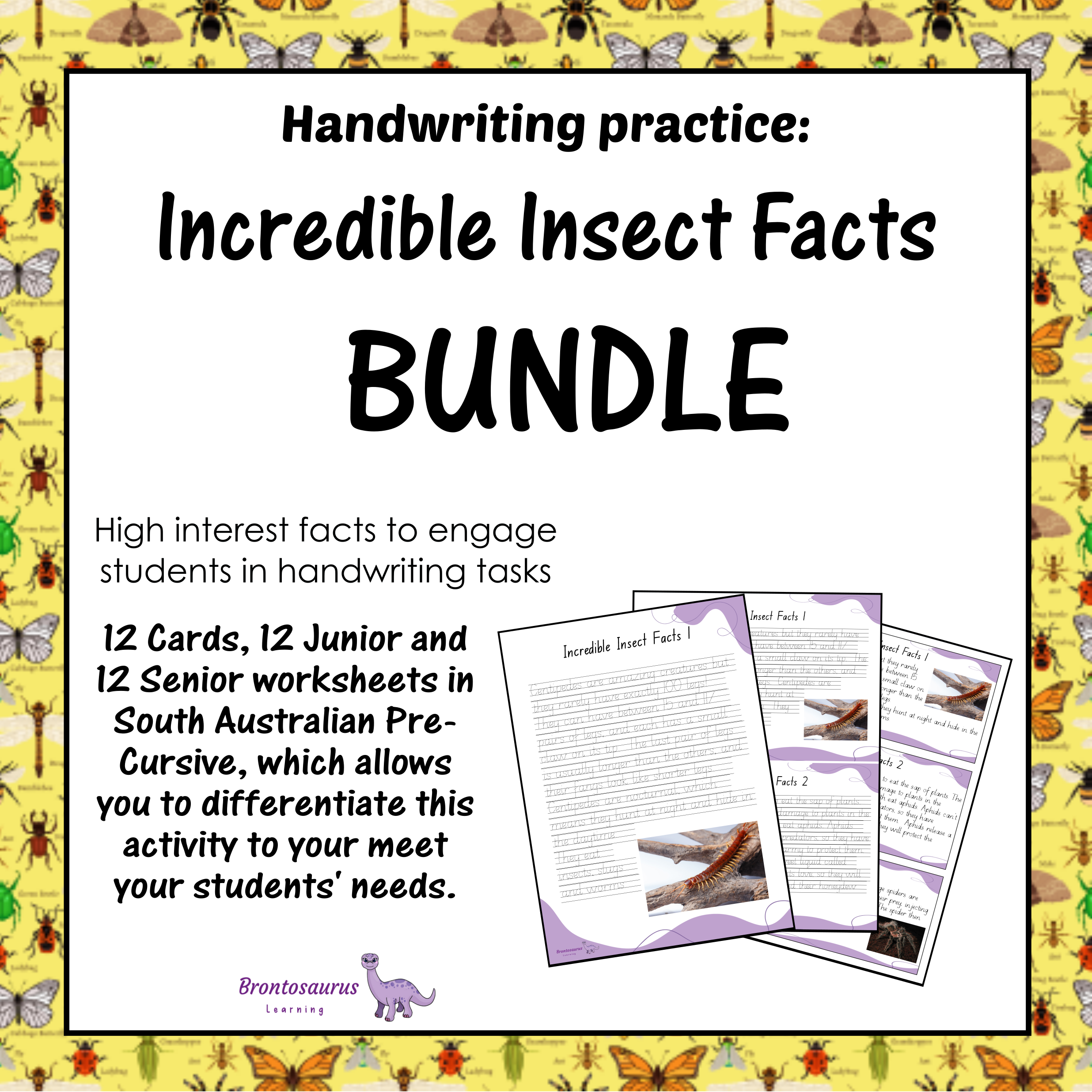 INSECTS1 Pre-cursive Set cover image