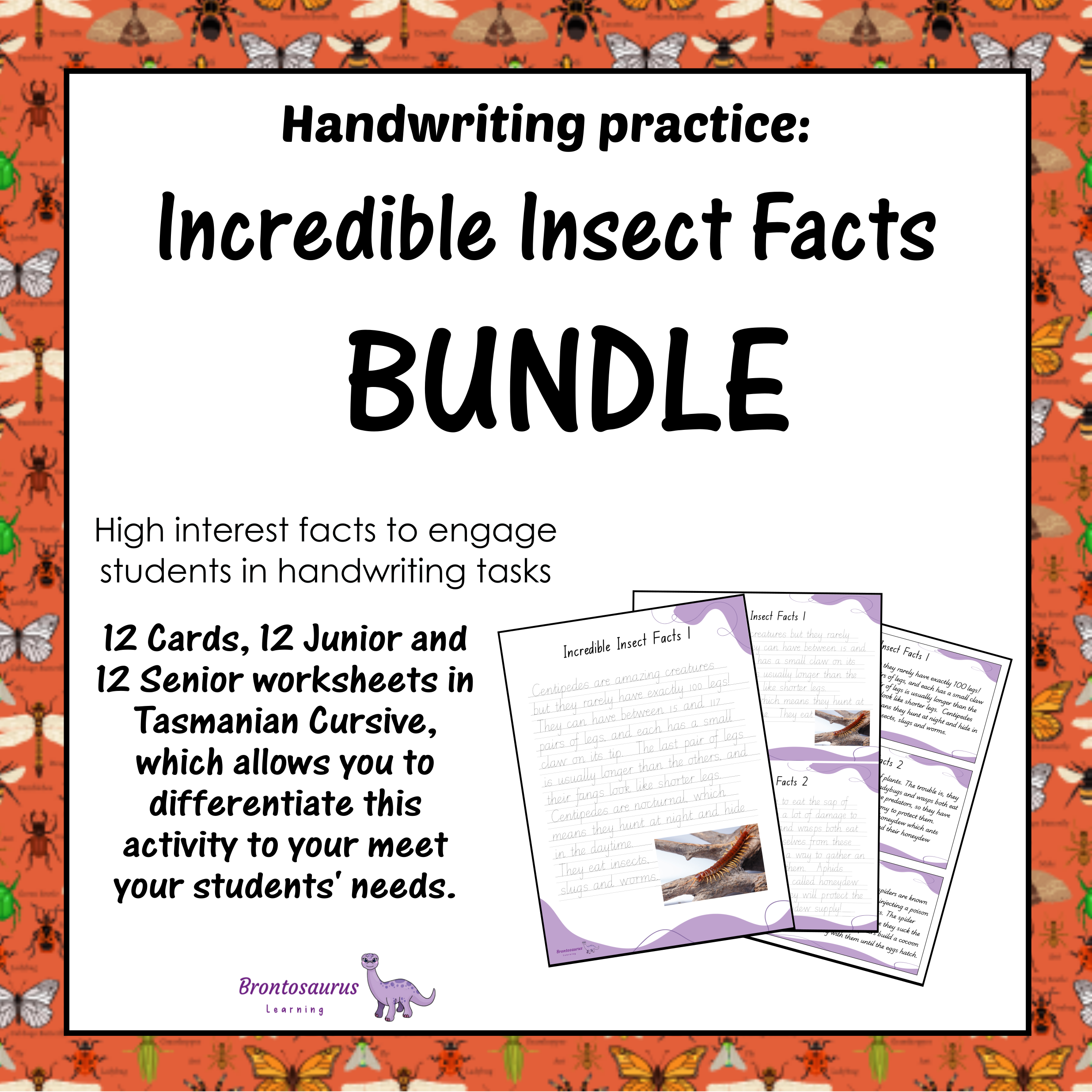 INSECTS1 Cursive Set cover image