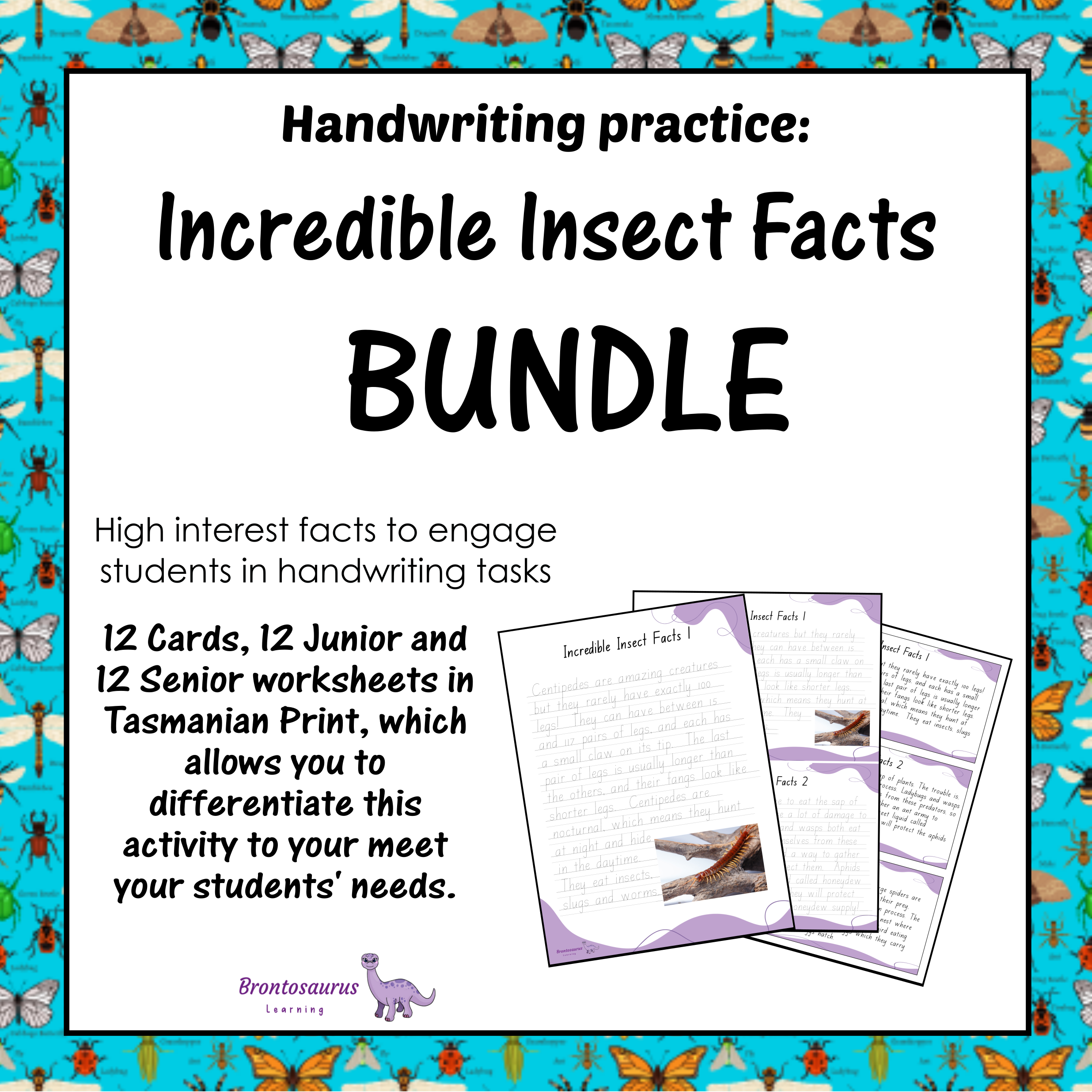 INSECTS1 Print Set cover image
