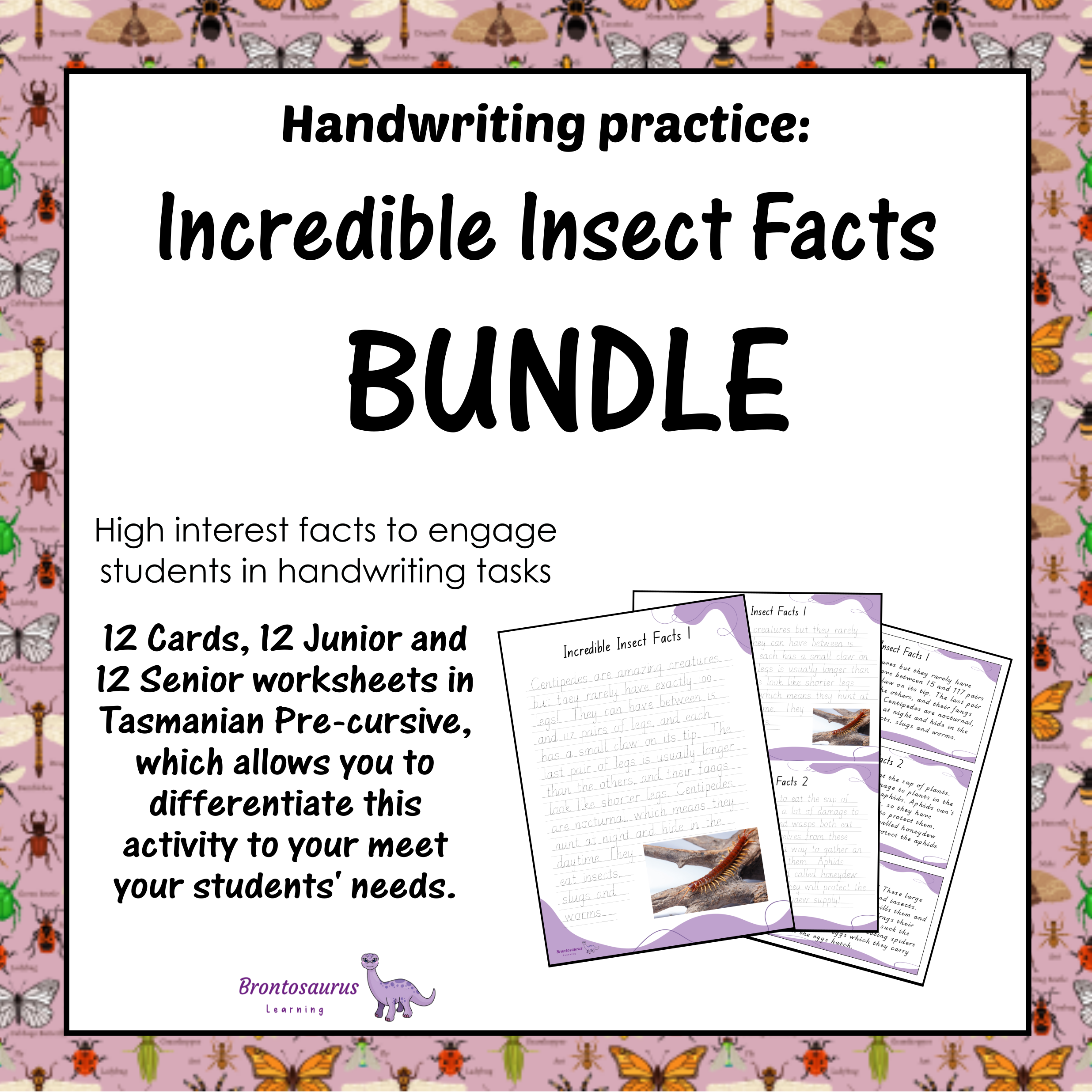 INSECTS1 Pre-cursive Set cover image