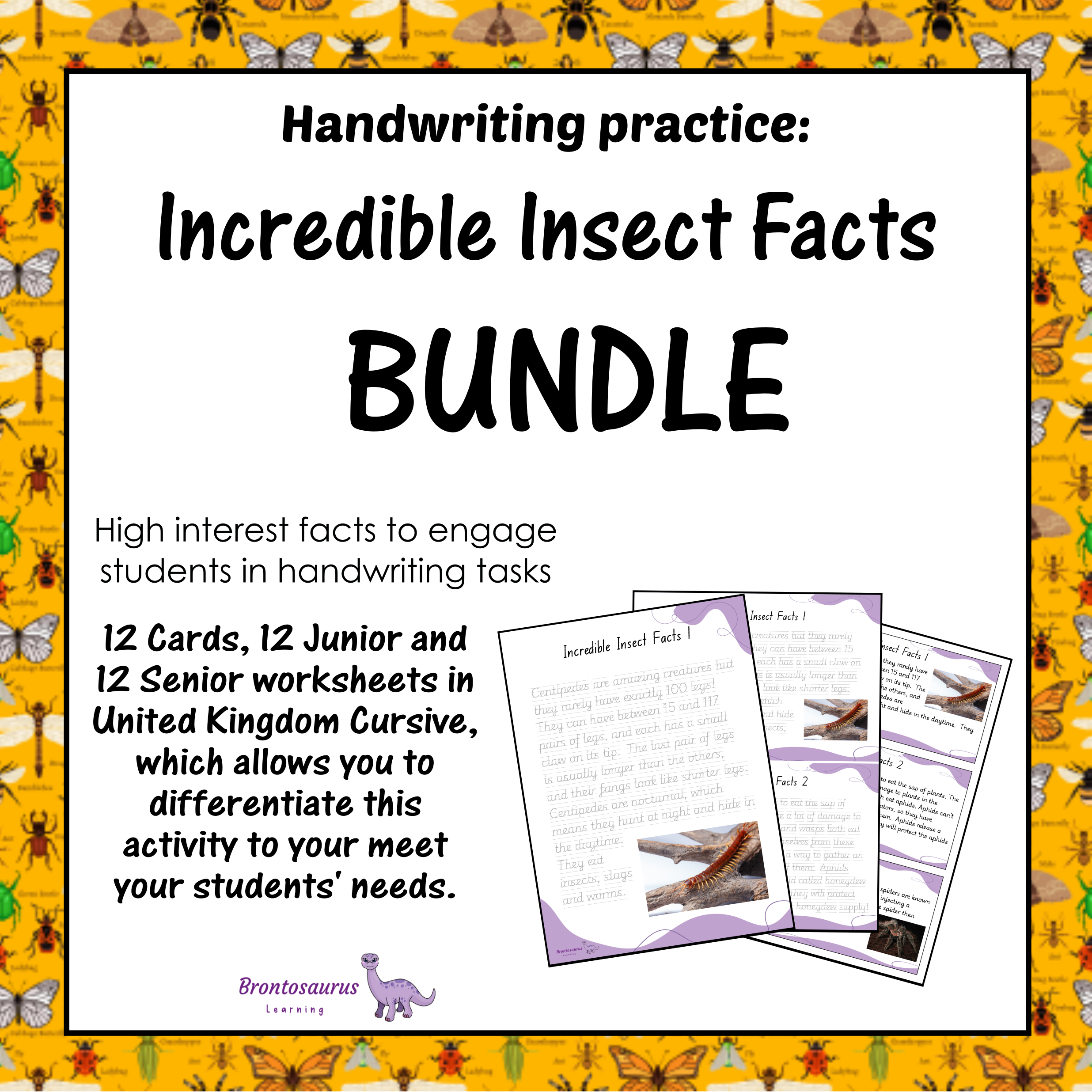 United Kingdom Animals 14 INSECTS1 Cursive Set cover image
