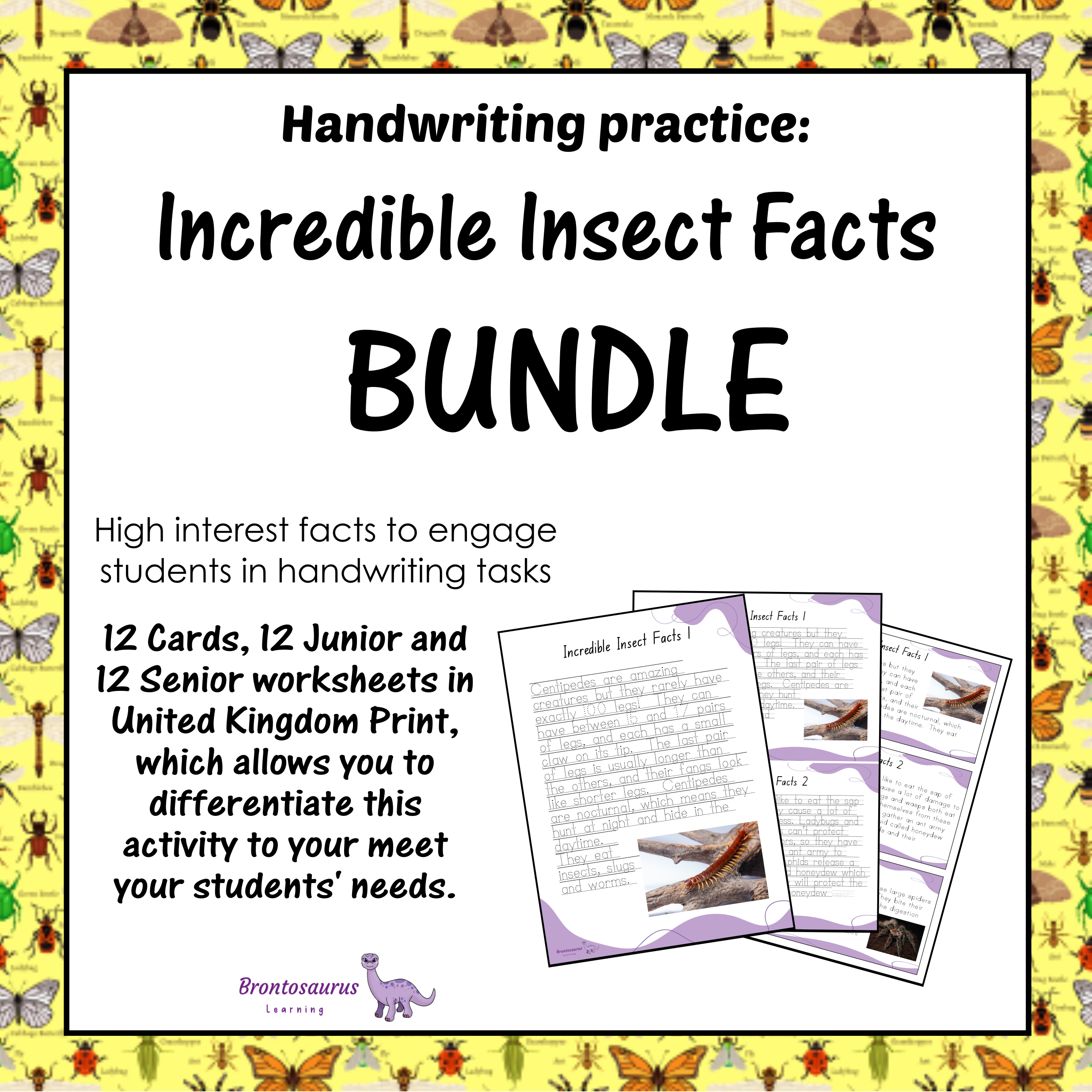 United Kingdom Animals 12 INSECTS1 Print Set cover image