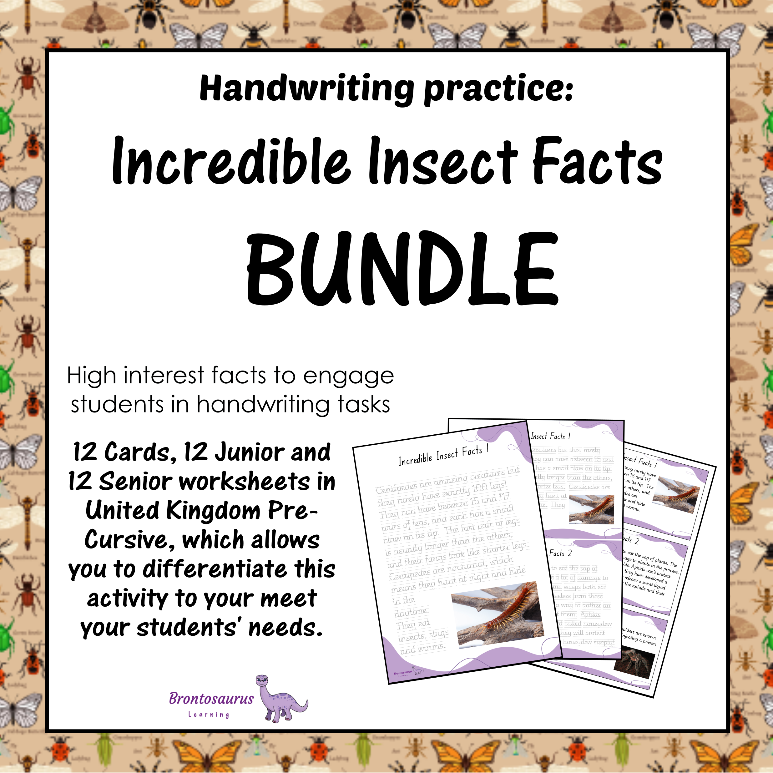 United Kingdom Animals 13 INSECTS1 Pre-cursive Set cover image