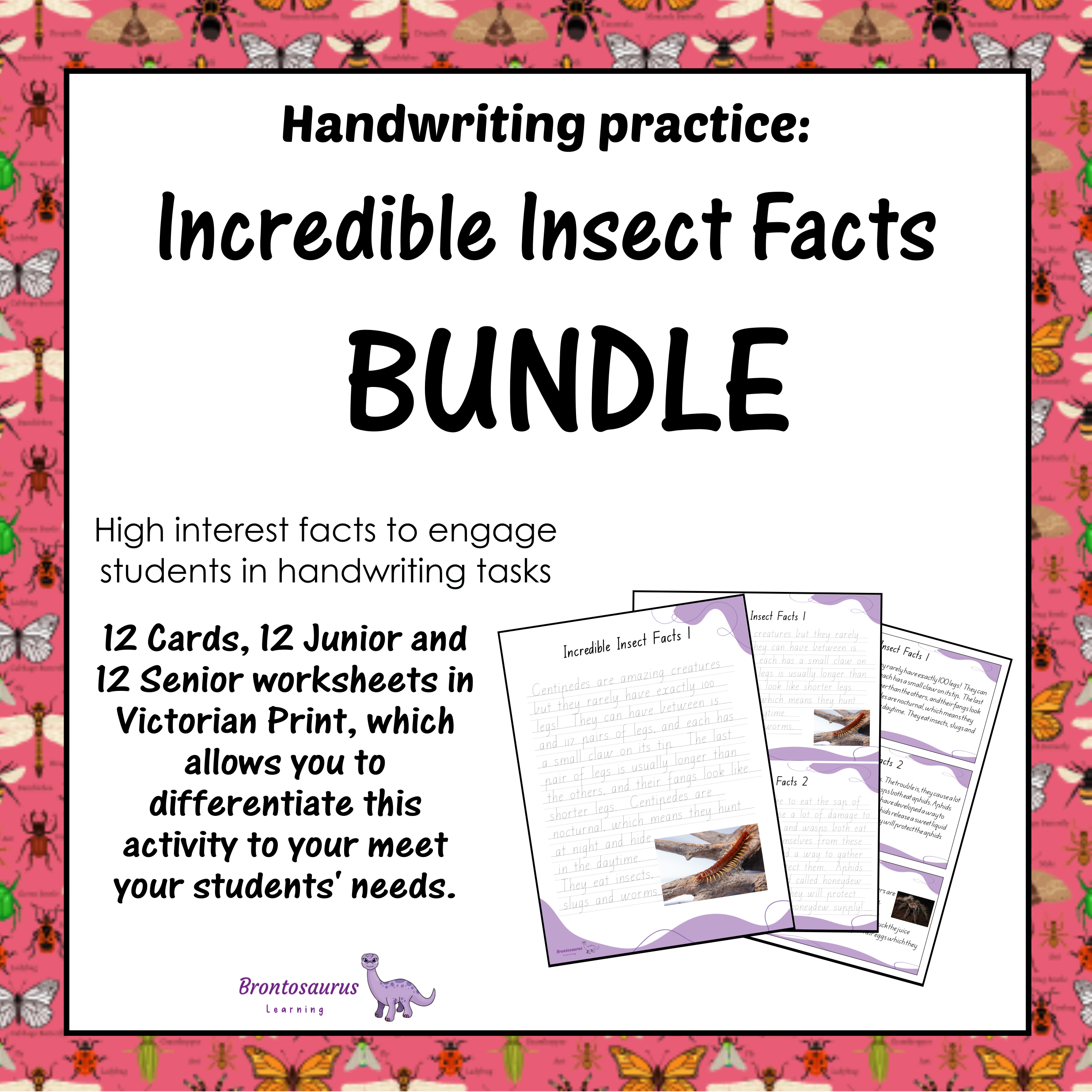 INSECTS1 Print Set cover image