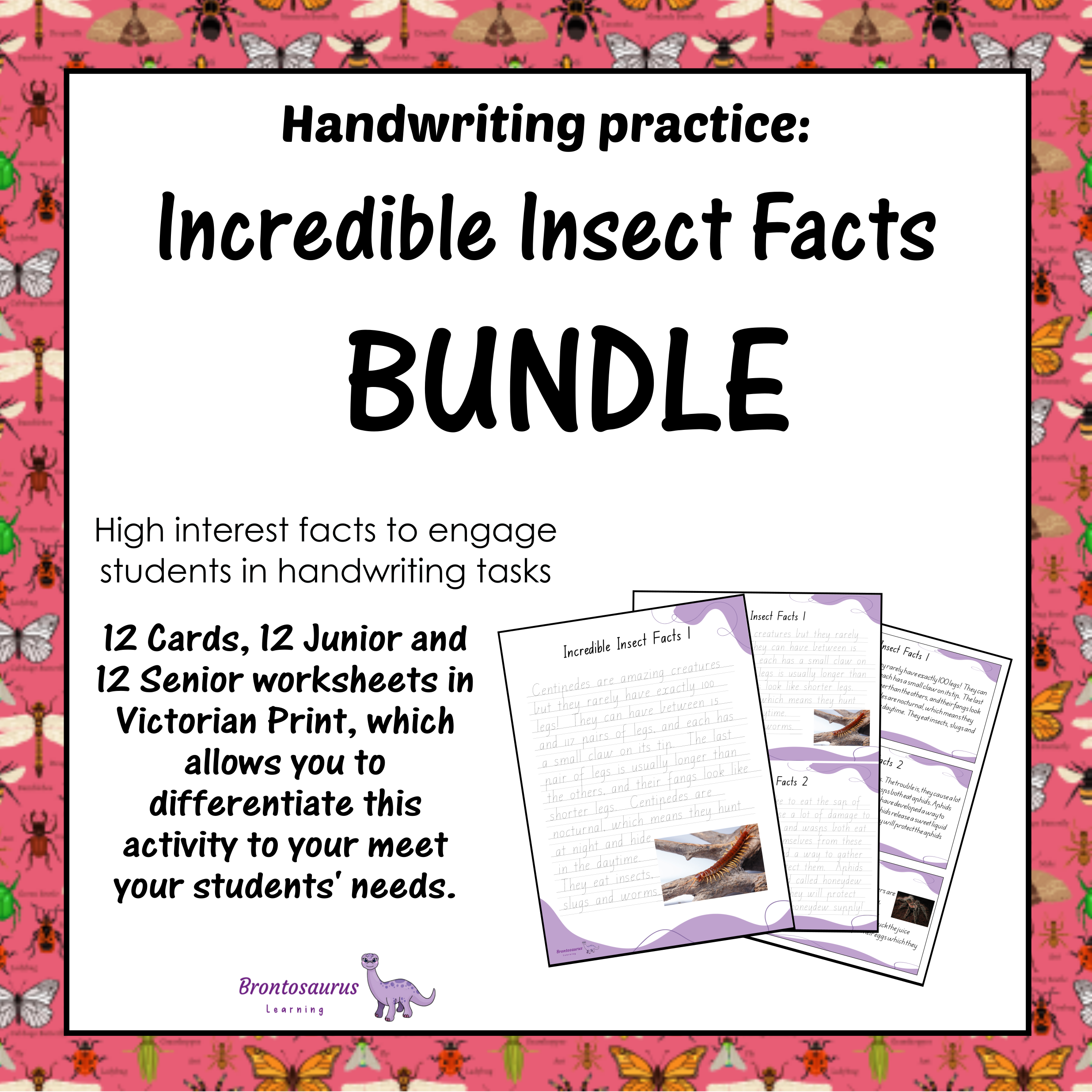 INSECTS1 Cursive Set cover image