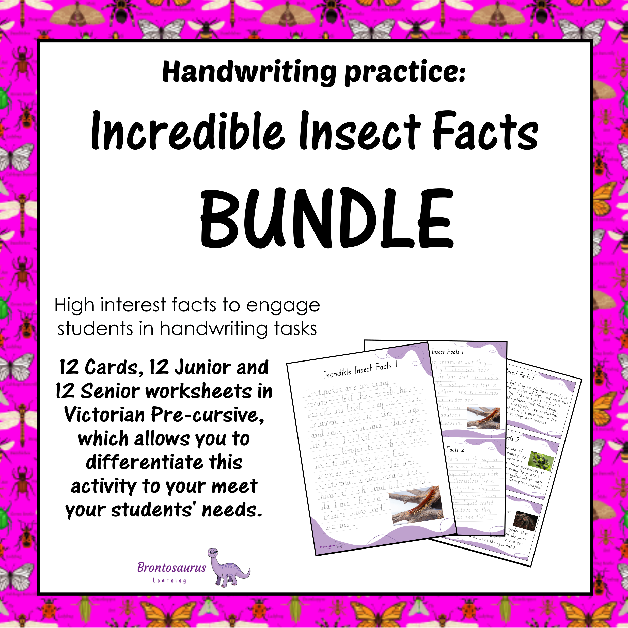 INSECTS1 Pre-cursive Set cover image