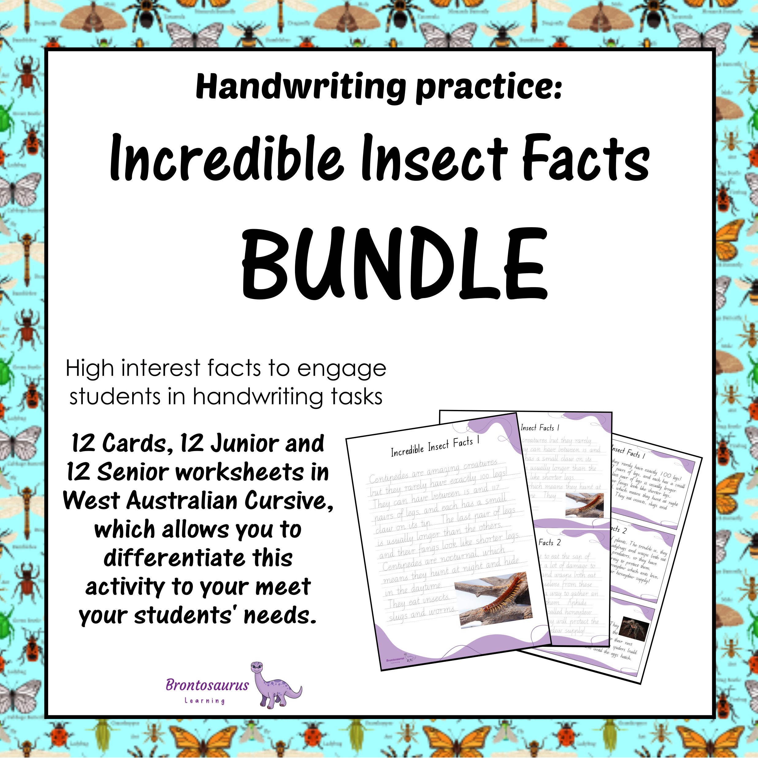 INSECTS1 Cursive Set cover image