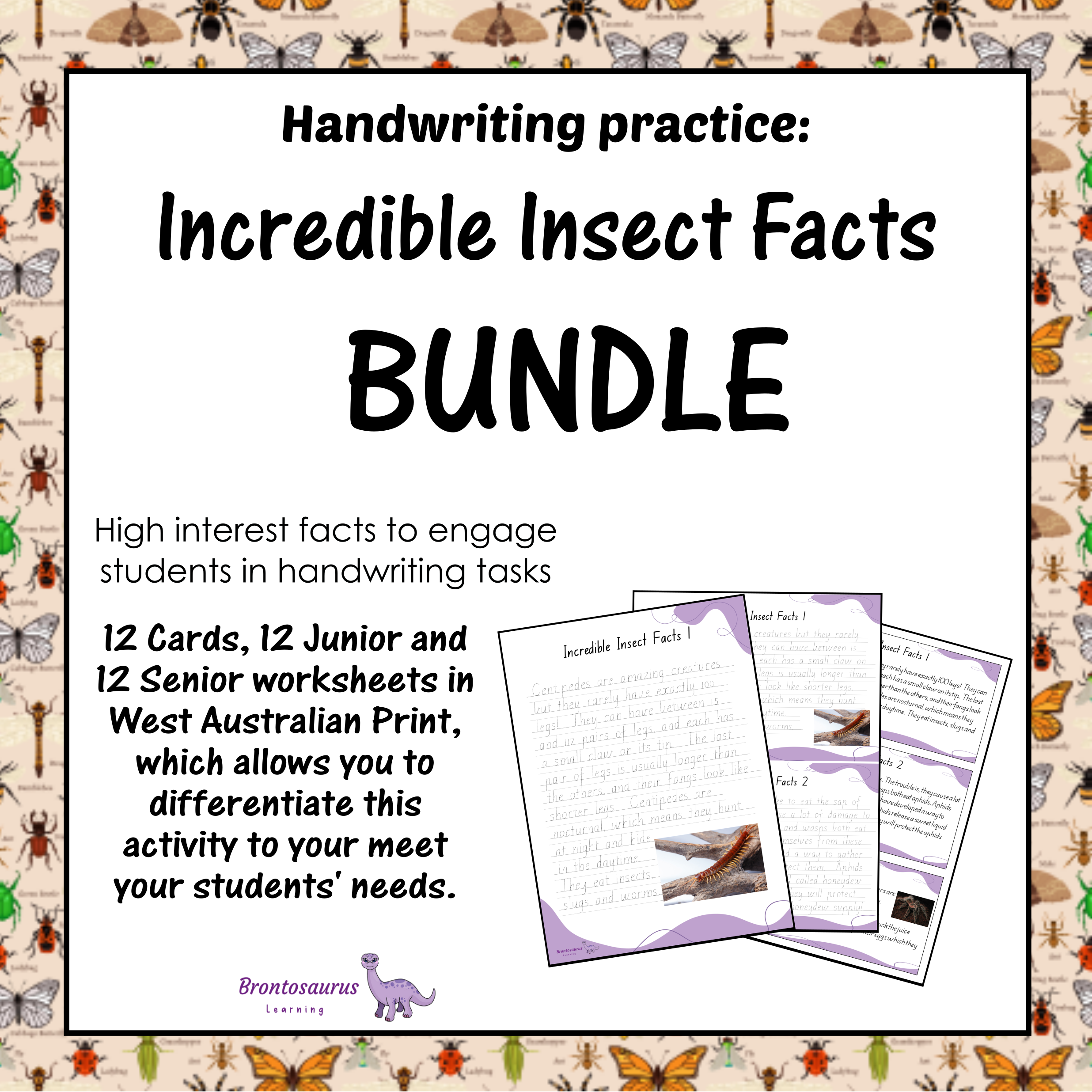 INSECTS1 Print Set cover image