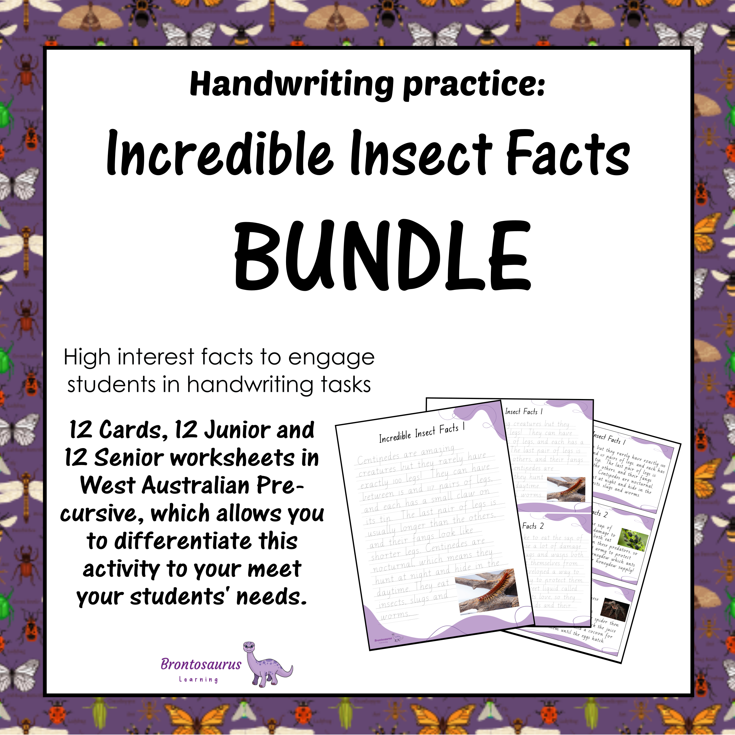 INSECTS1 Pre-cursive Set cover image