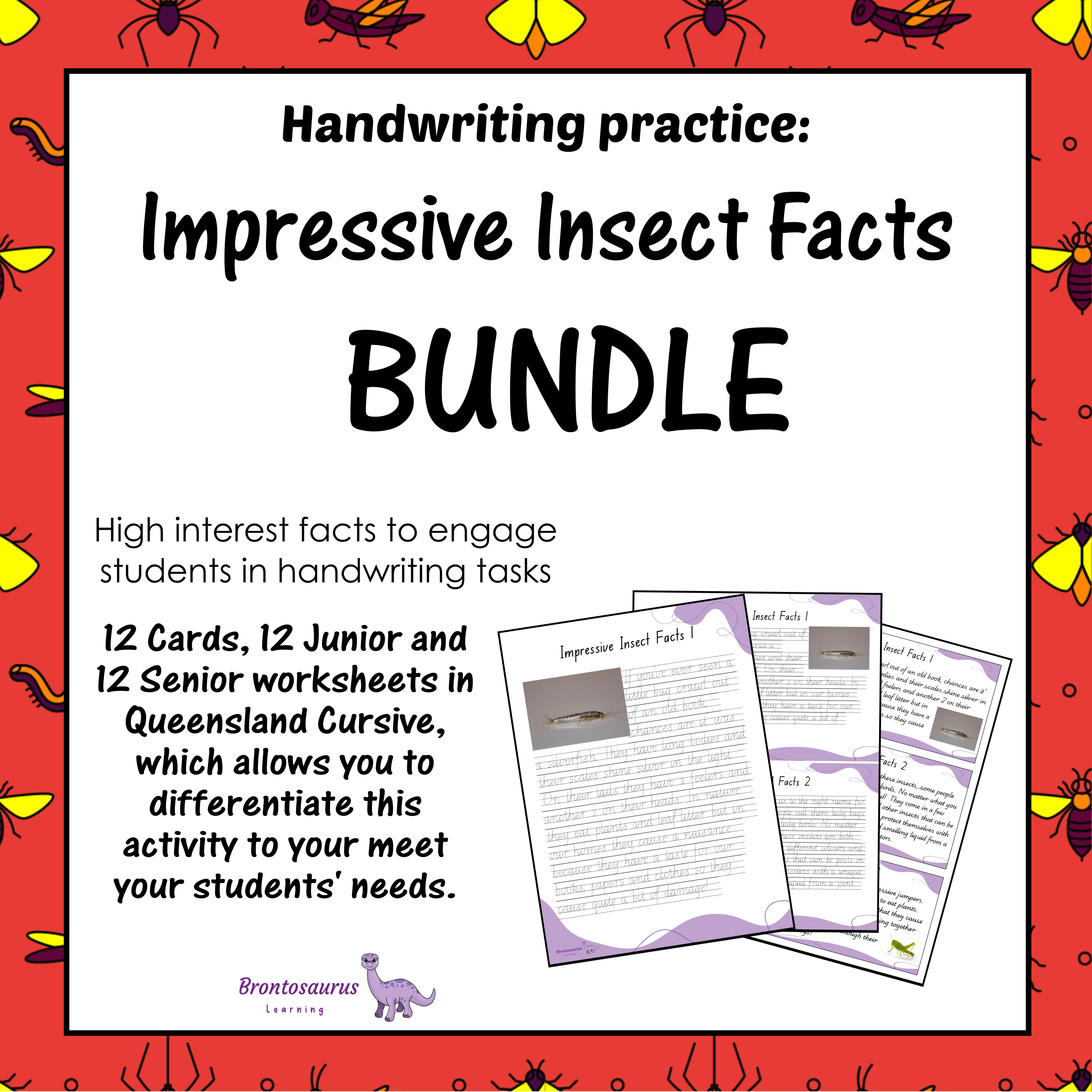 Queensland Animals 19 INSECTS2 Cursive Set cover image