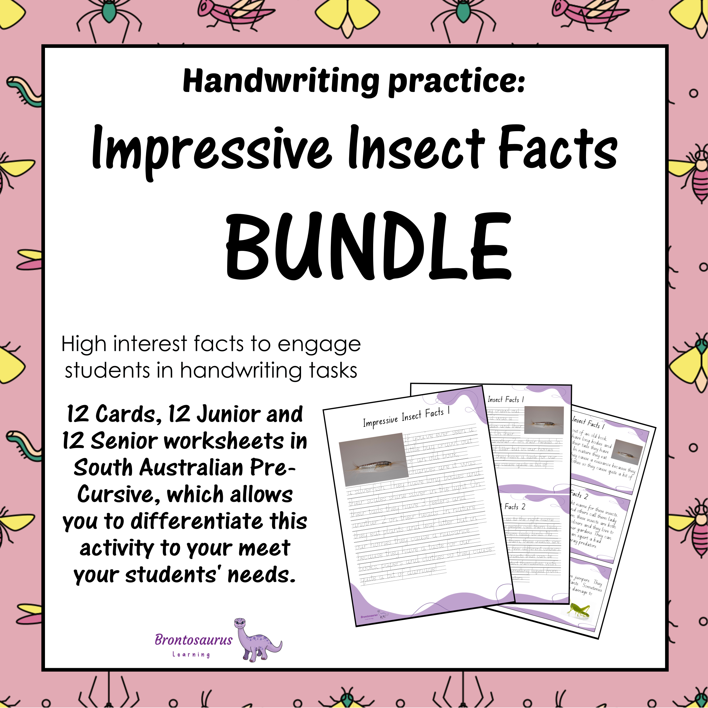 INSECTS2 Pre-cursive Set cover image