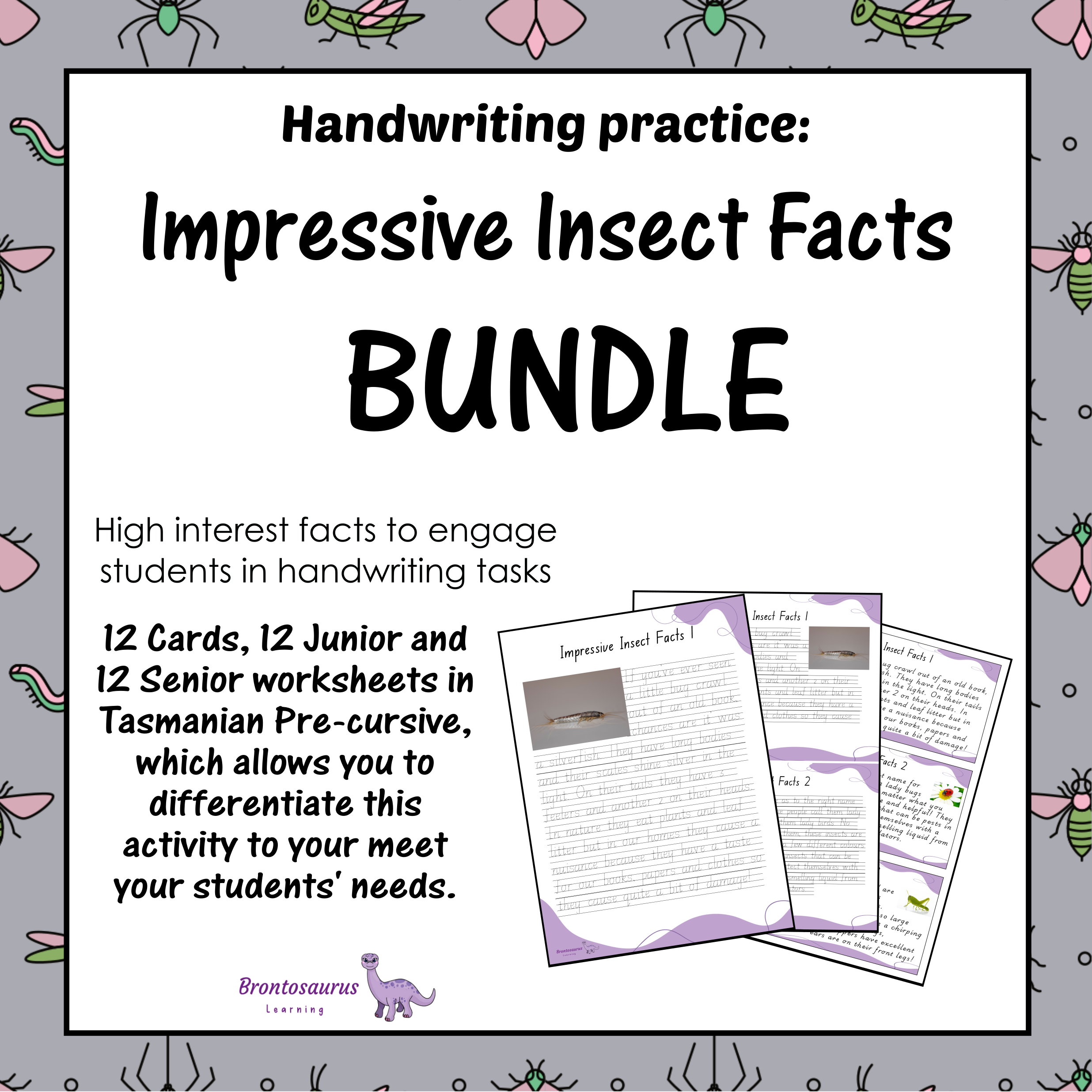 INSECTS2 Pre-cursive Set cover image