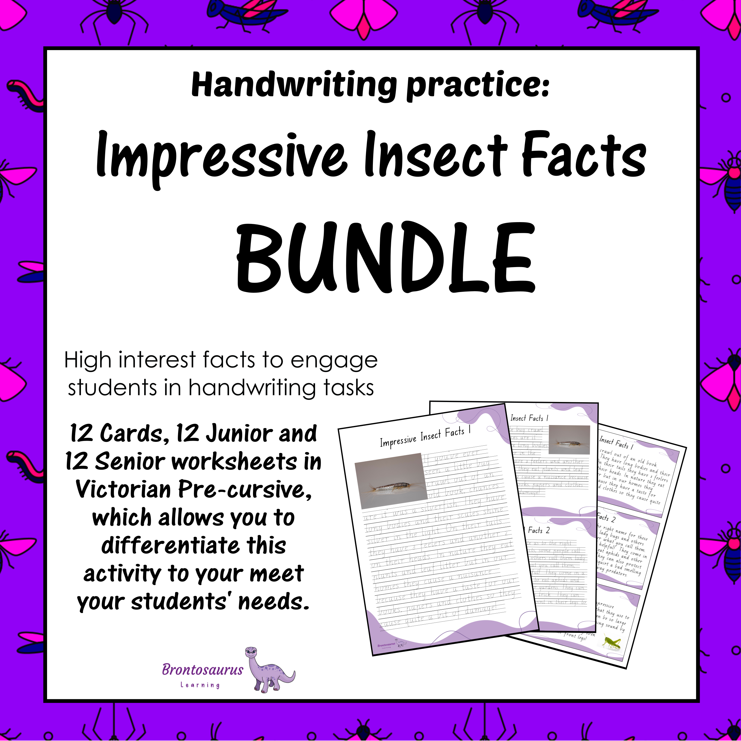 INSECTS2 Pre-cursive Set cover image