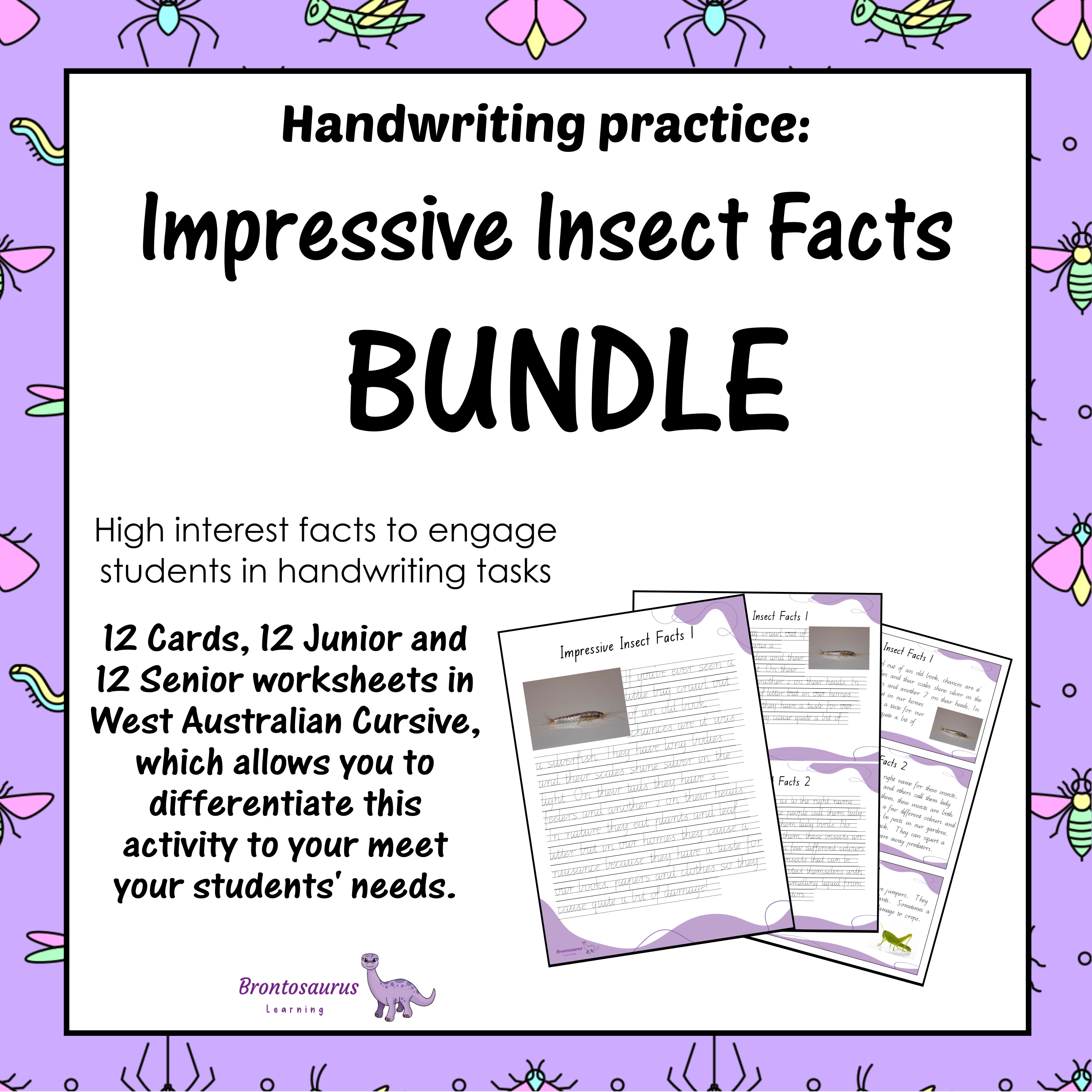 INSECTS2 Cursive Set cover image