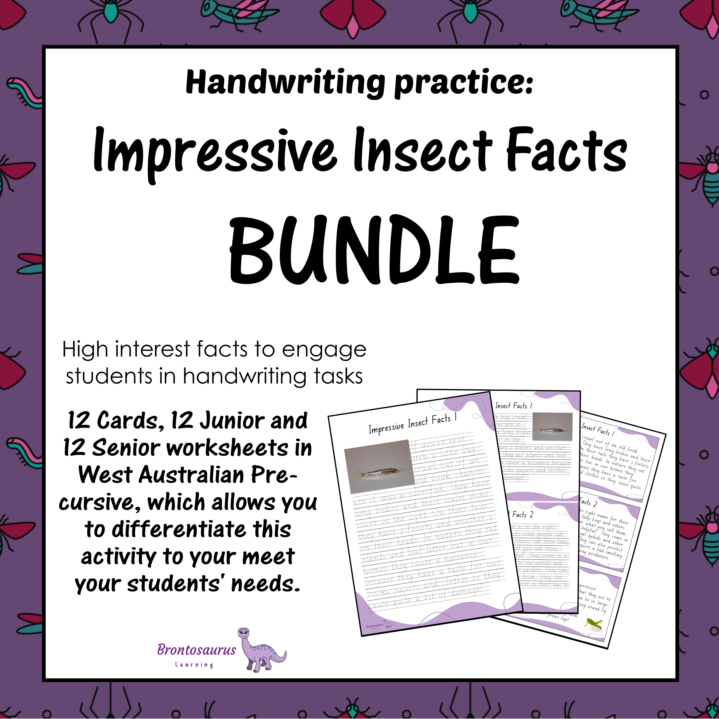 INSECTS2 Pre-cursive Set cover image